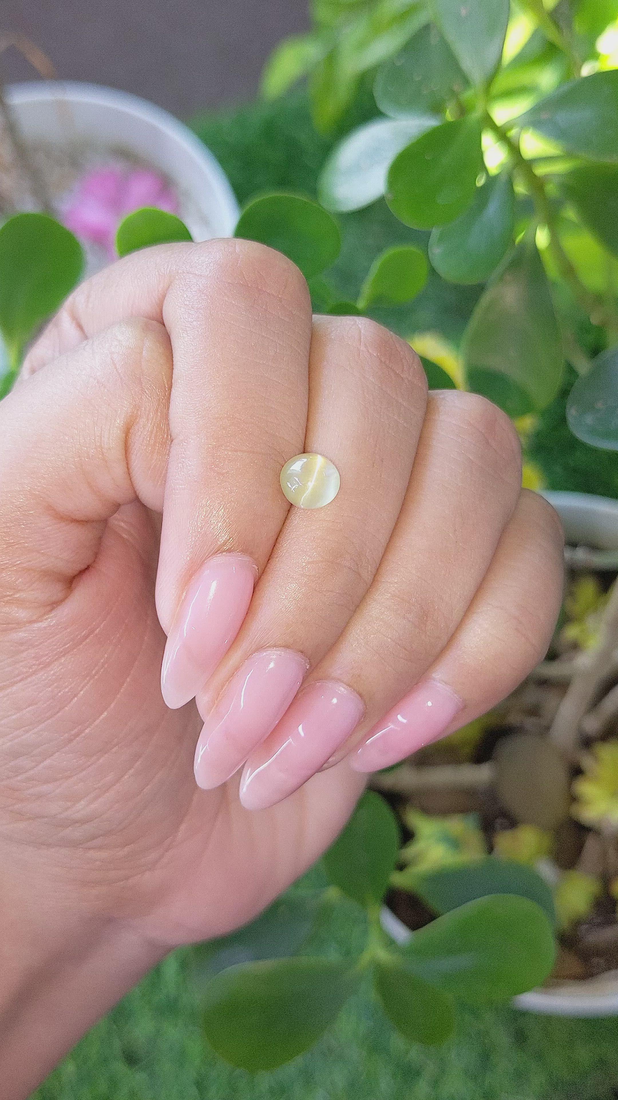 1.81 Ct. Cabochon Chrysoberyl from Tanzania Size Video