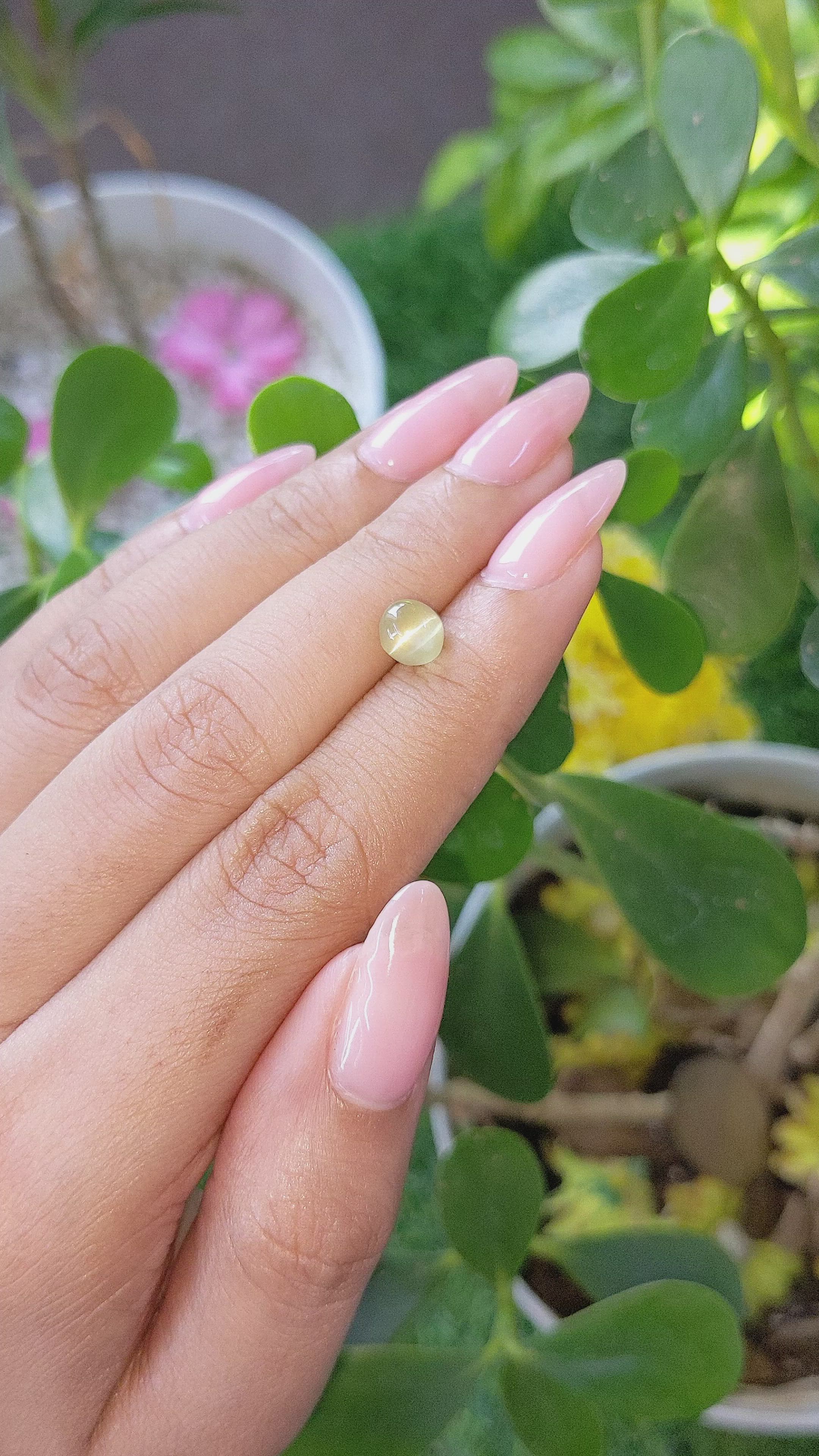 1.81 Ct. Cabochon Chrysoberyl from Tanzania Size Video