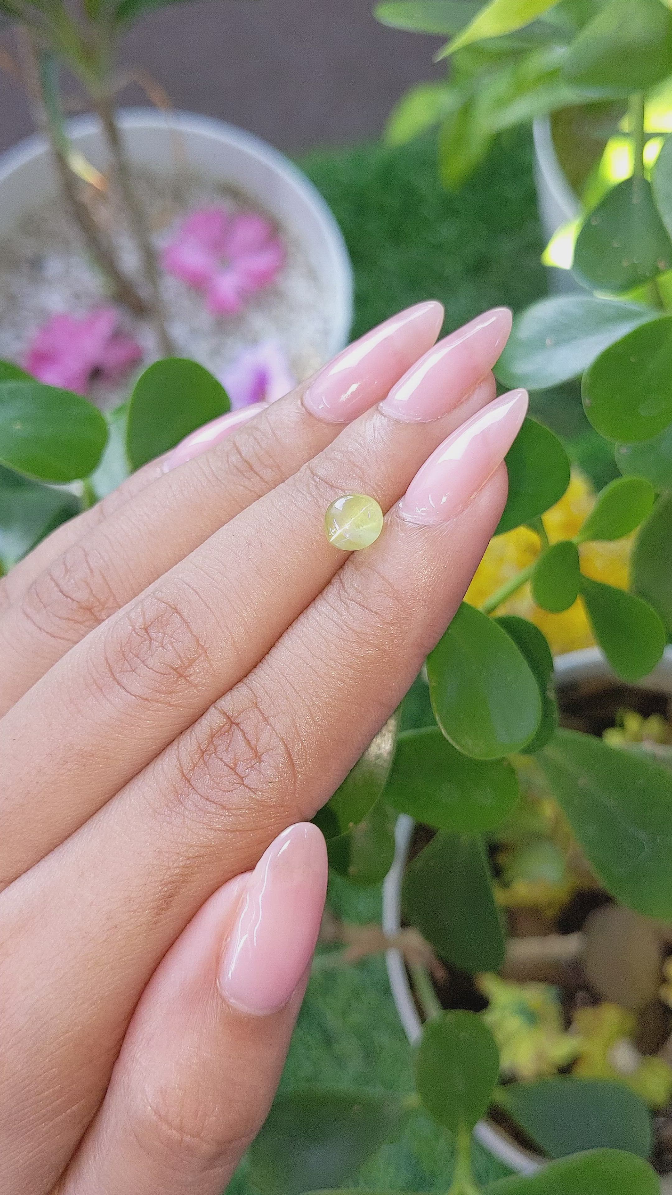 1.70 Ct. Cabochon Chrysoberyl from Tanzania Size Video