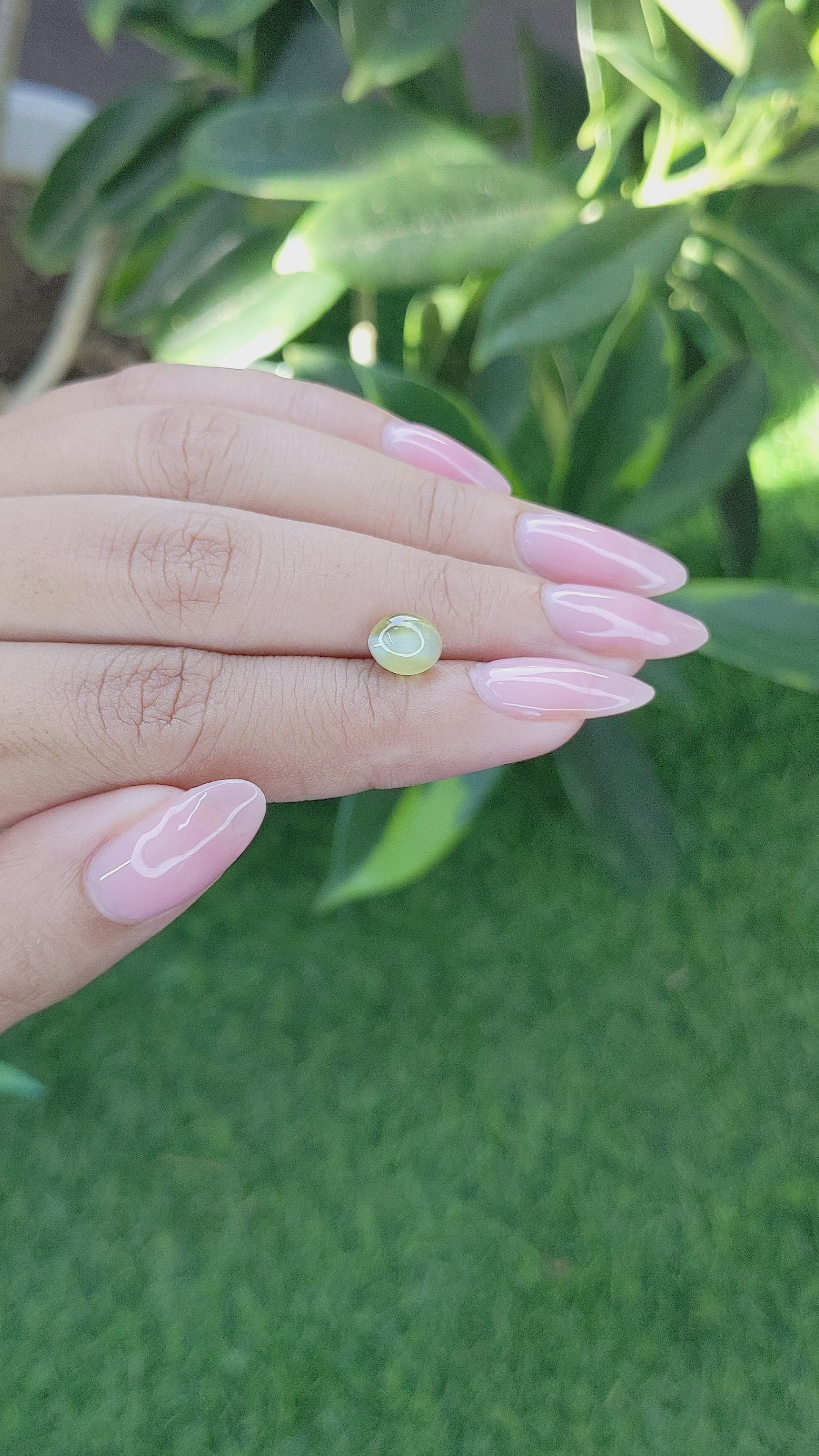 1.97 Ct. Cabochon Chrysoberyl from Tanzania Size Video