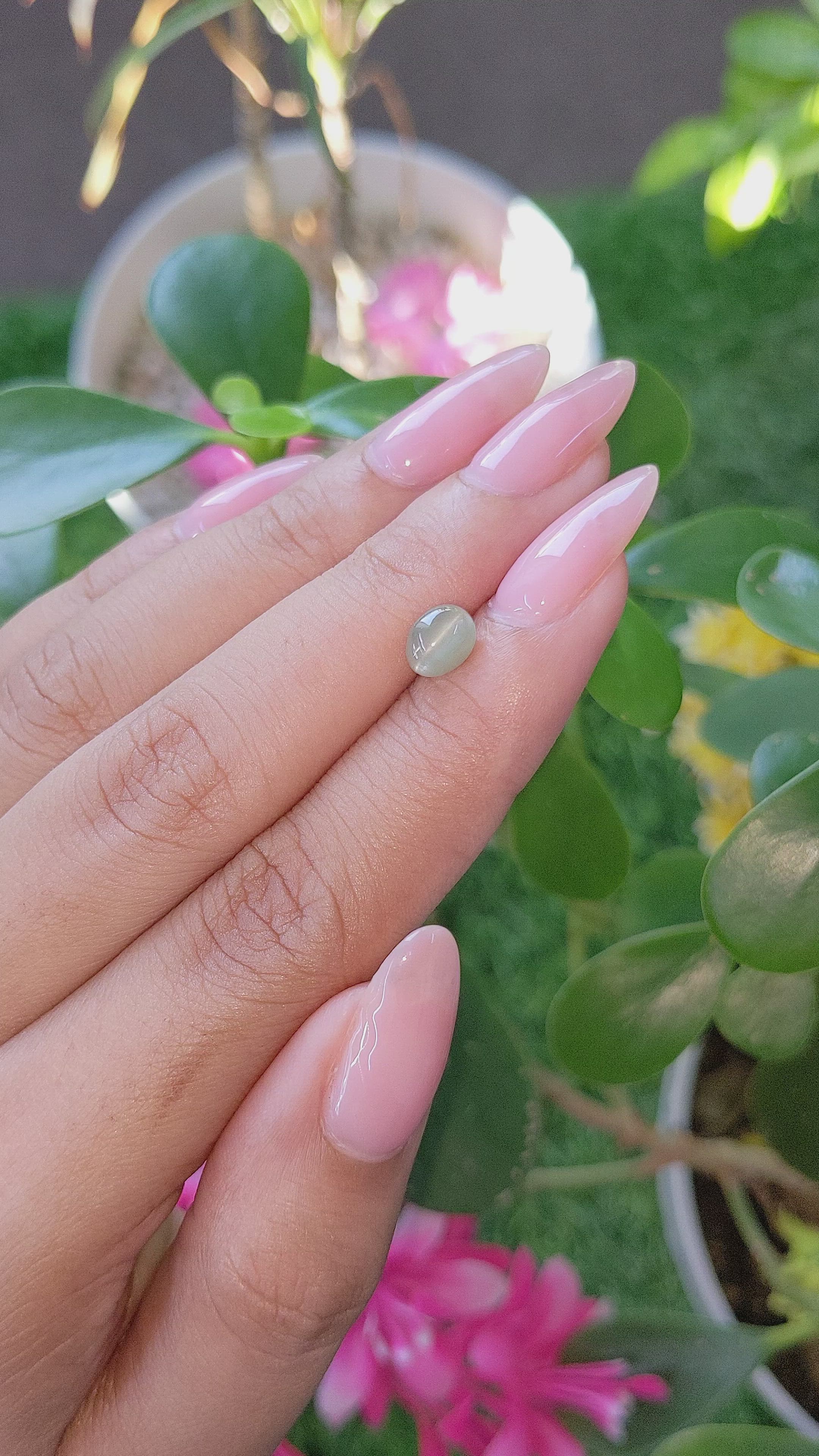 1.51 Ct. Cabochon Chrysoberyl from Tanzania Size Video