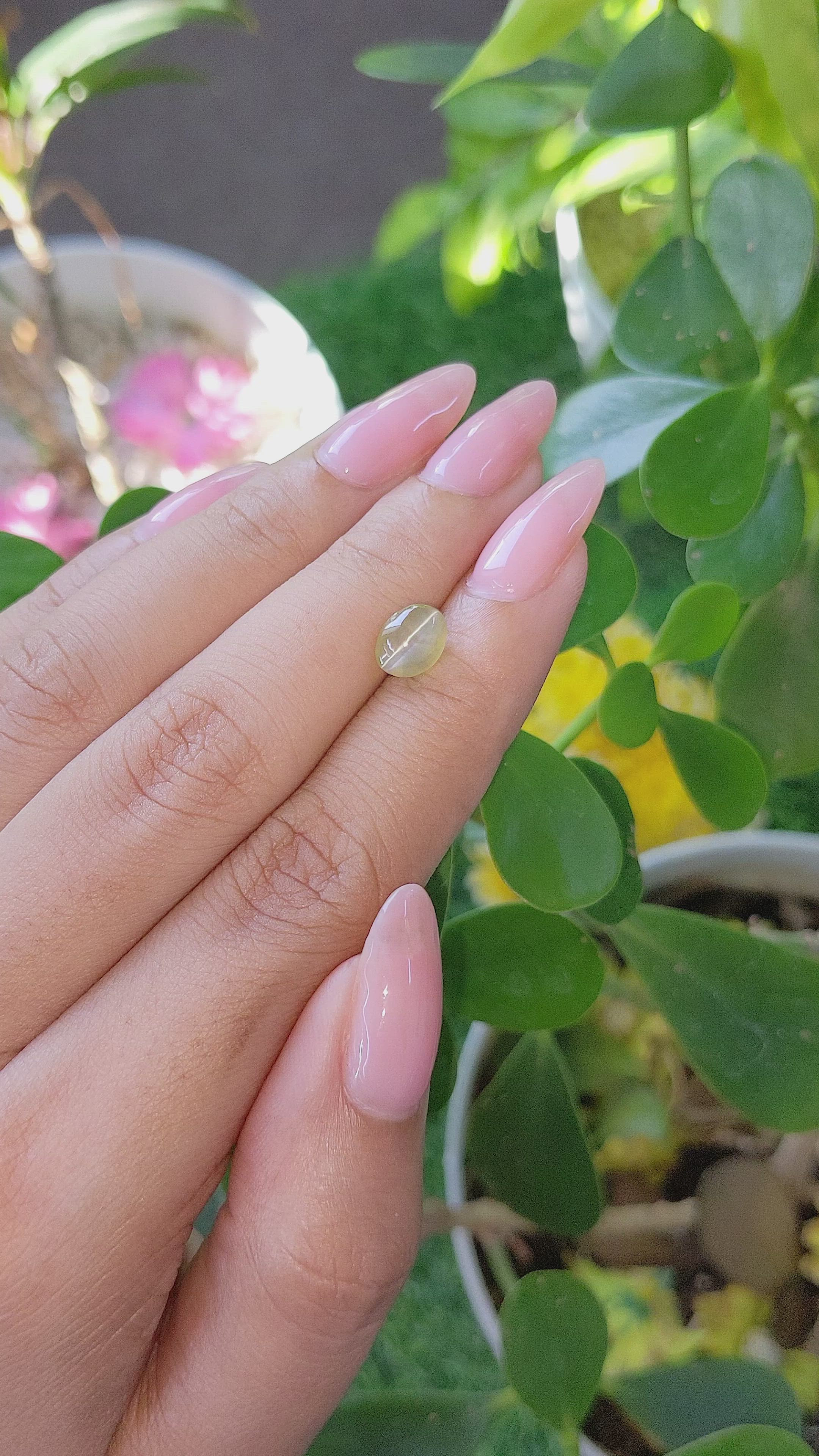 1.68 Ct. Cabochon Chrysoberyl from Tanzania Size Video