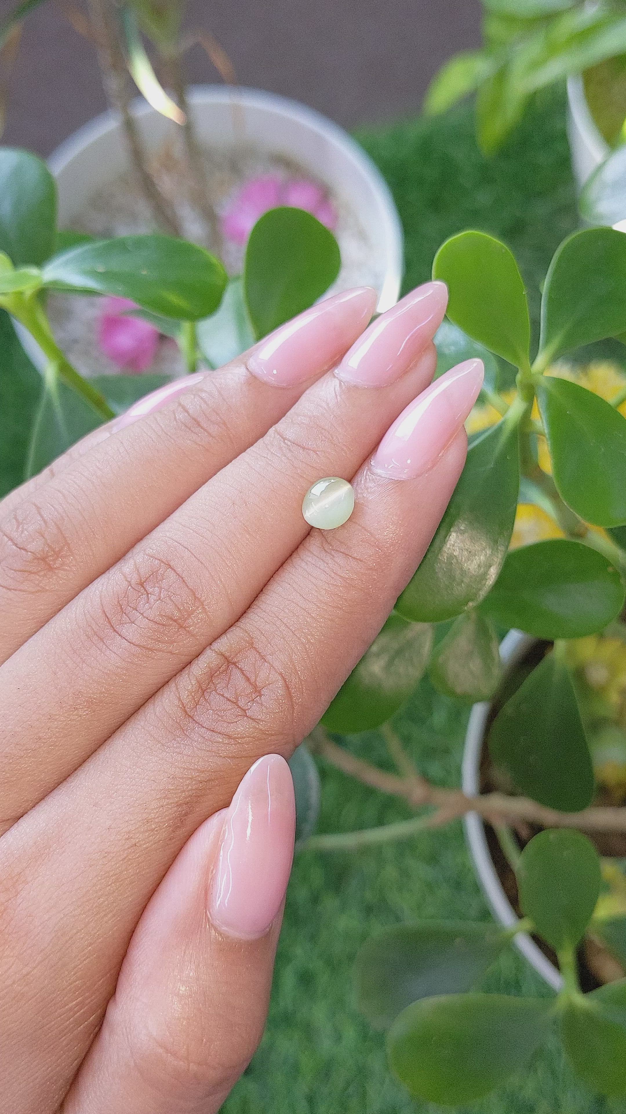 1.72 Ct. Cabochon Chrysoberyl from Tanzania Size Video