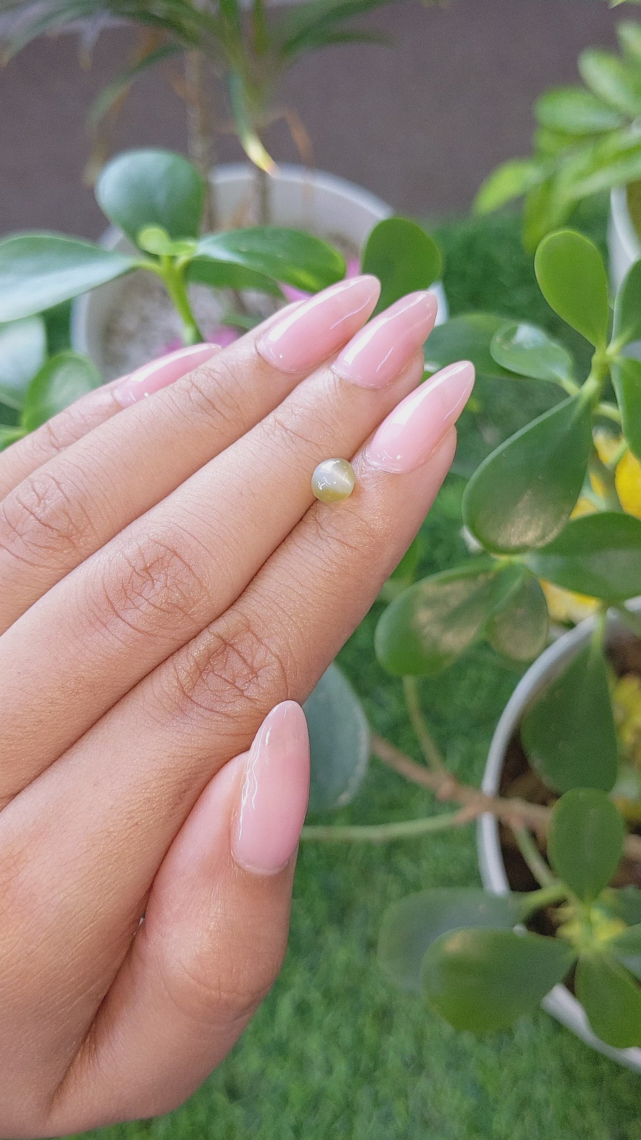 1.49 Ct. Cabochon Chrysoberyl from Tanzania Size Video