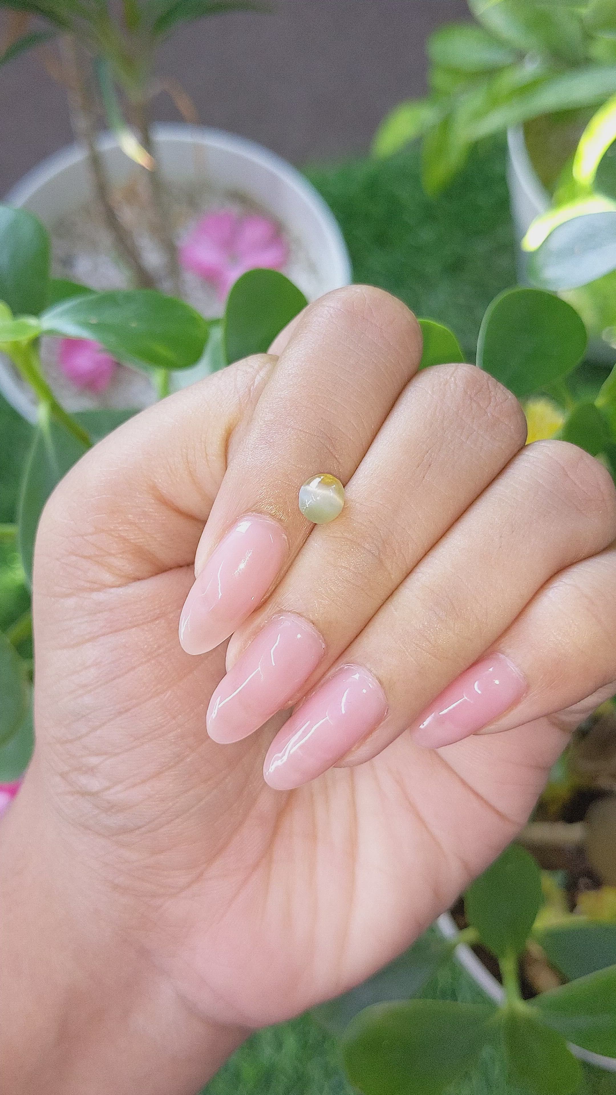 1.49 Ct. Cabochon Chrysoberyl from Tanzania Size Video