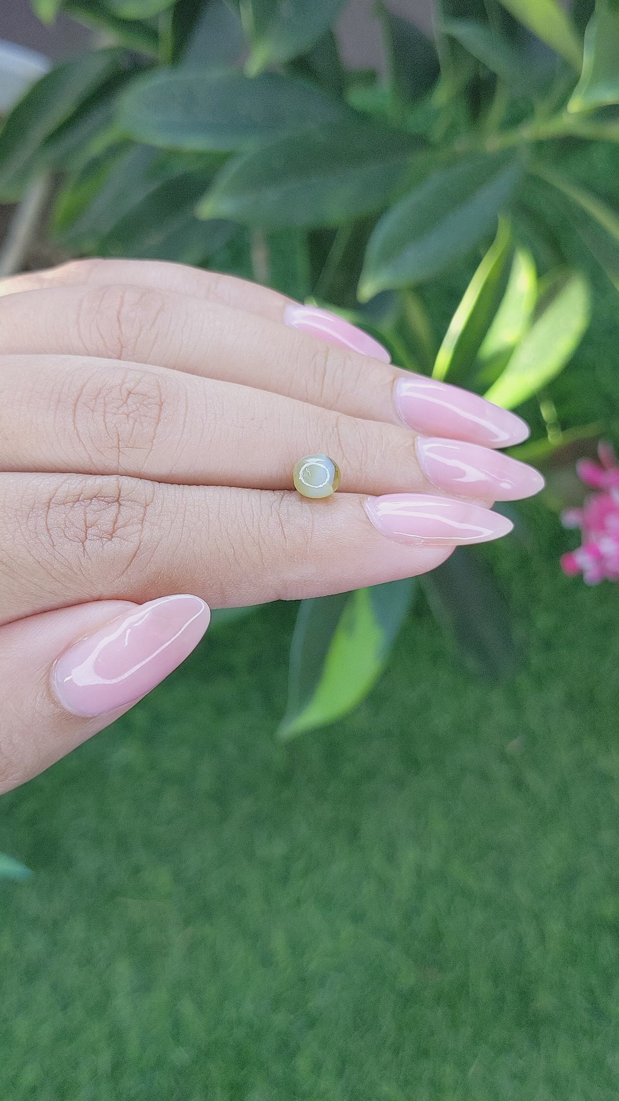 1.49 Ct. Cabochon Chrysoberyl from Tanzania Size Video