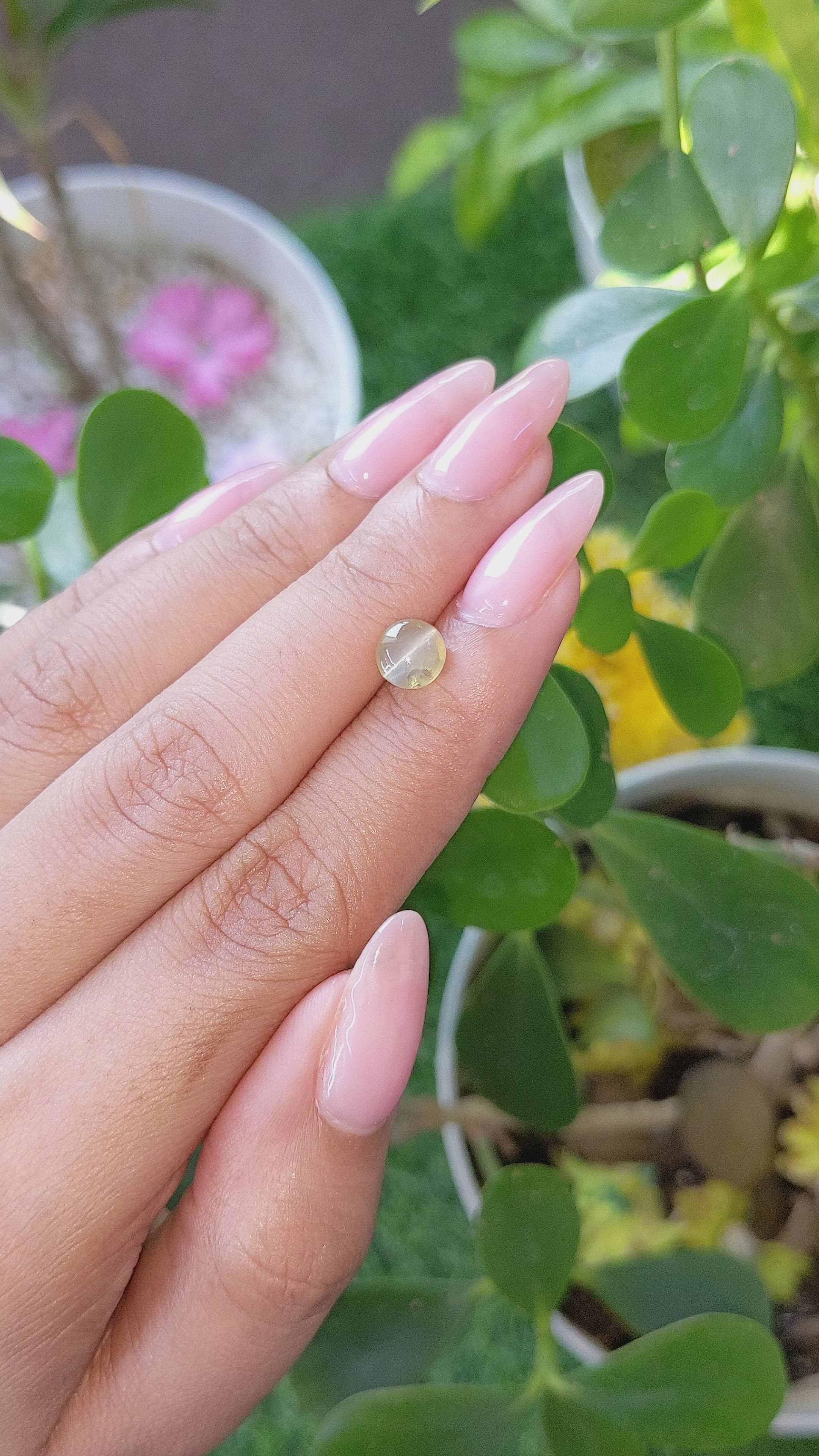 1.68 Ct. Cabochon Chrysoberyl from Tanzania Size Video