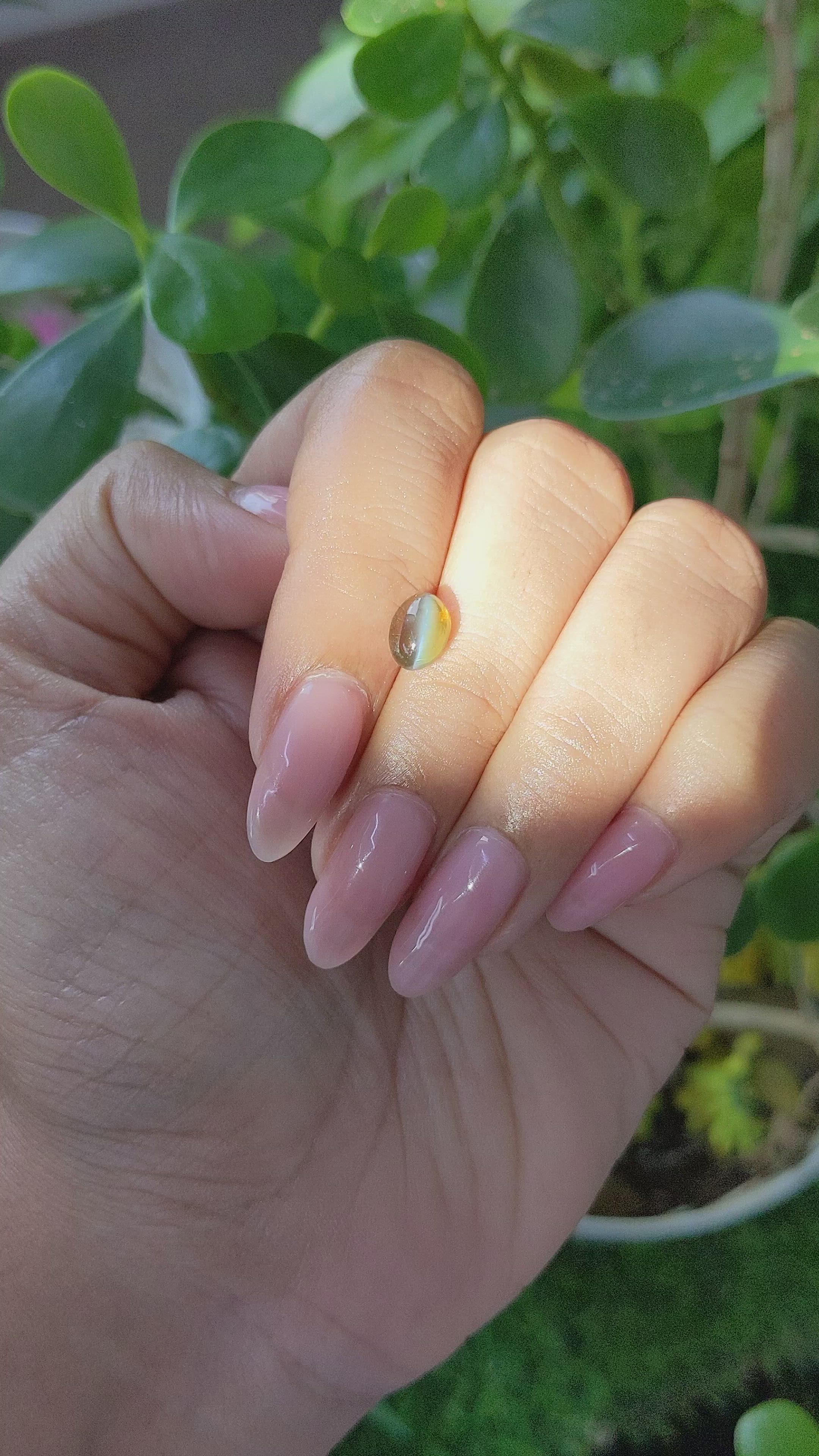 1.65 Ct. Cabochon Chrysoberyl from Tanzania Size Video