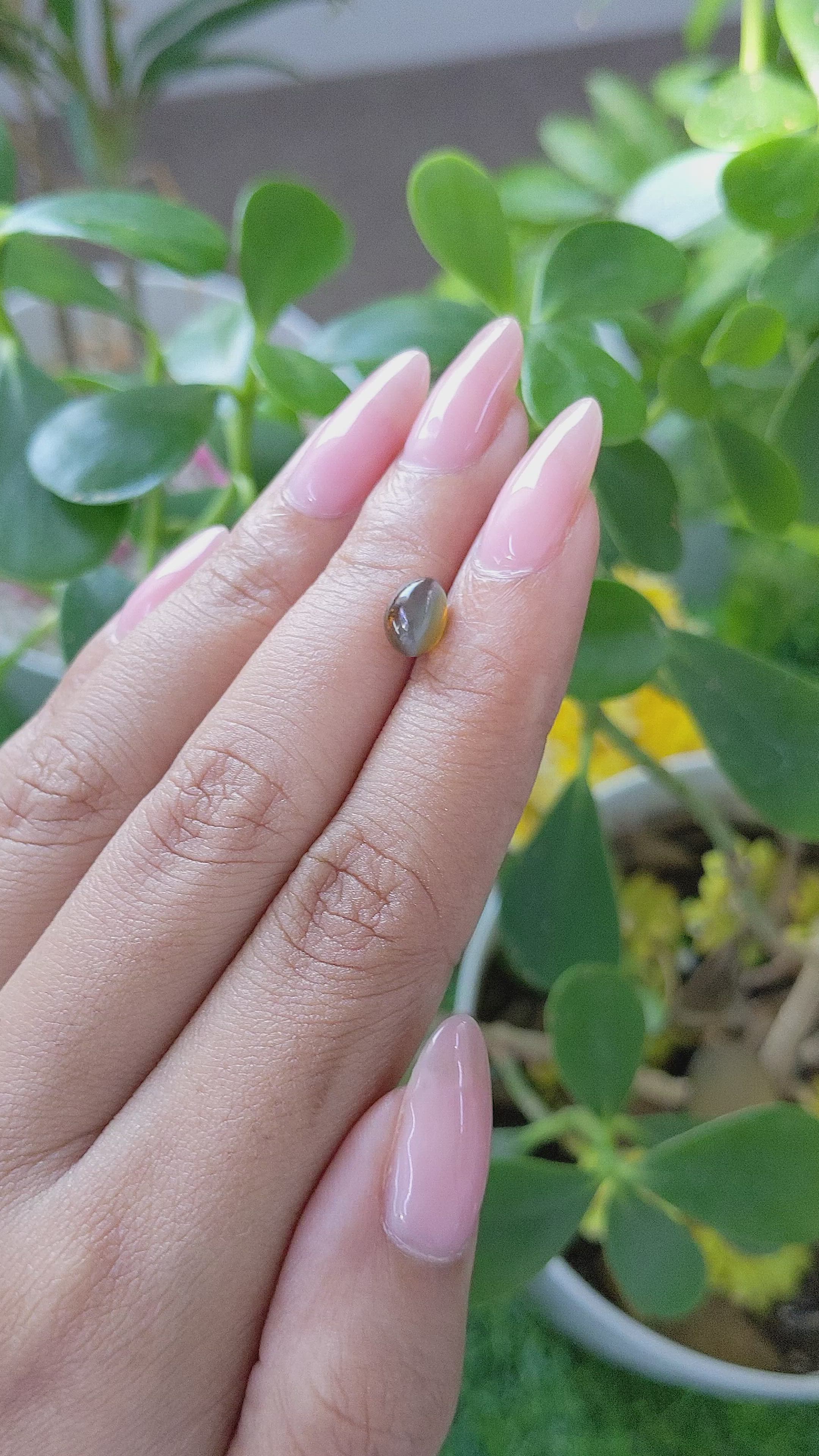 1.65 Ct. Cabochon Chrysoberyl from Tanzania Size Video