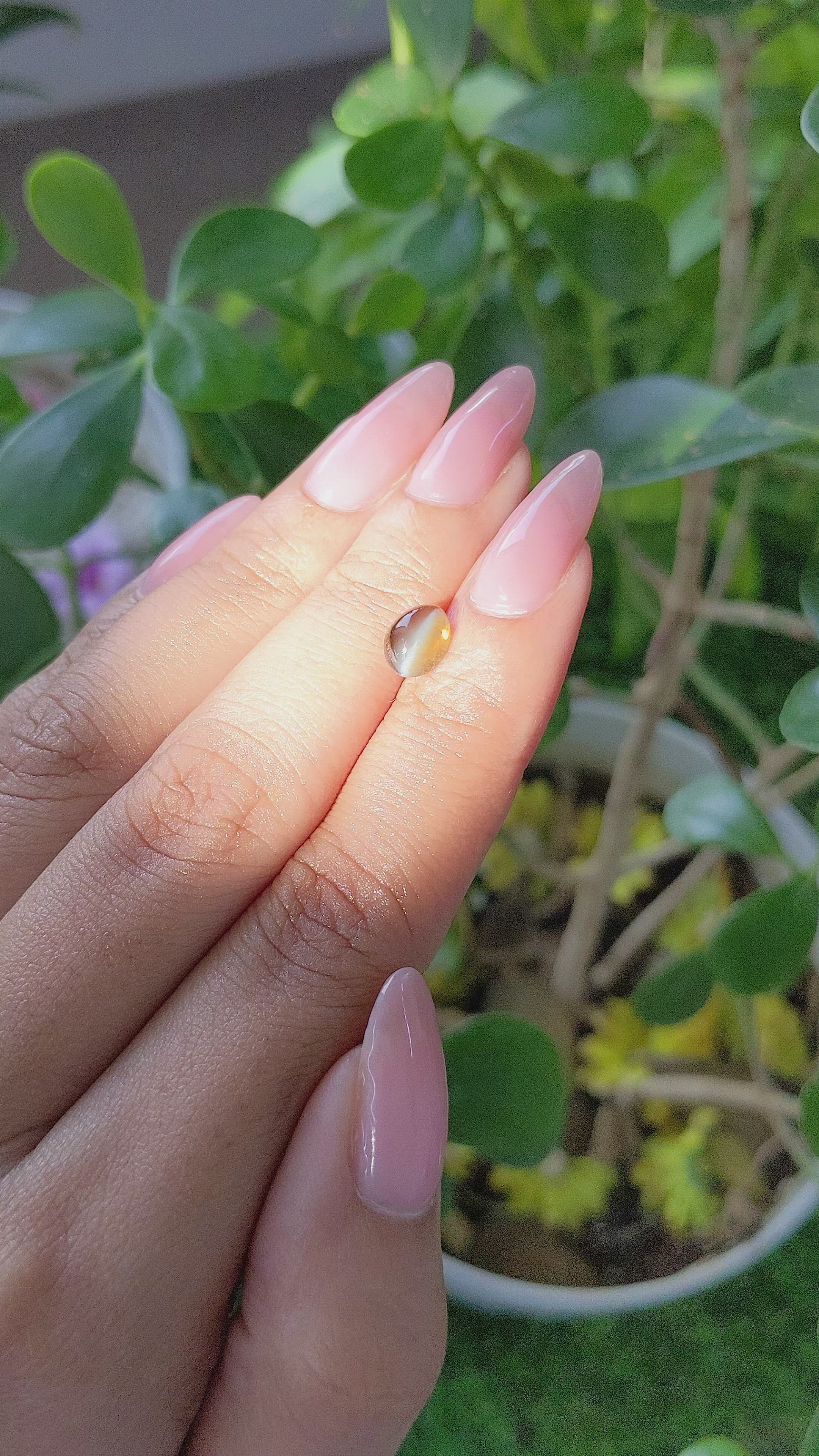 1.65 Ct. Cabochon Chrysoberyl from Tanzania Size Video