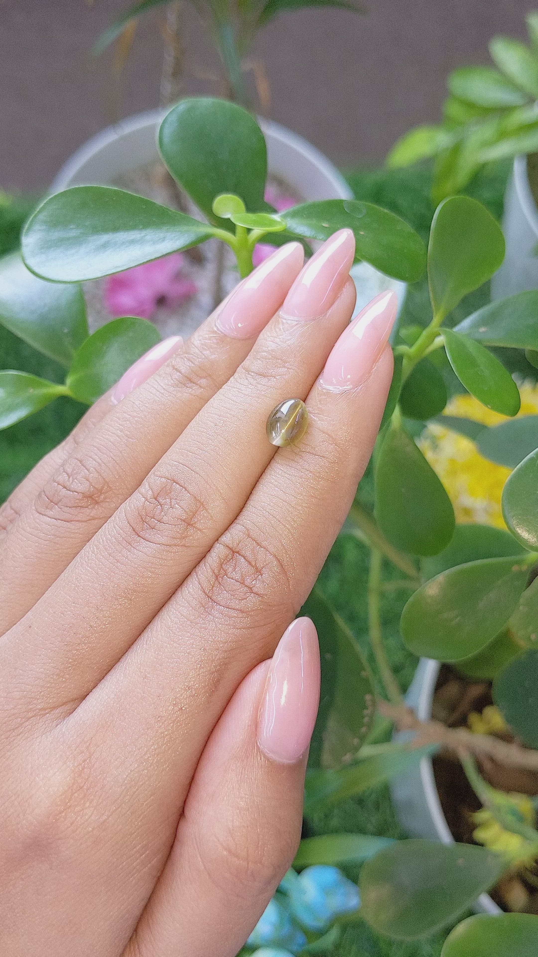 1.99 Ct. Cabochon Chrysoberyl from Tanzania Size Video