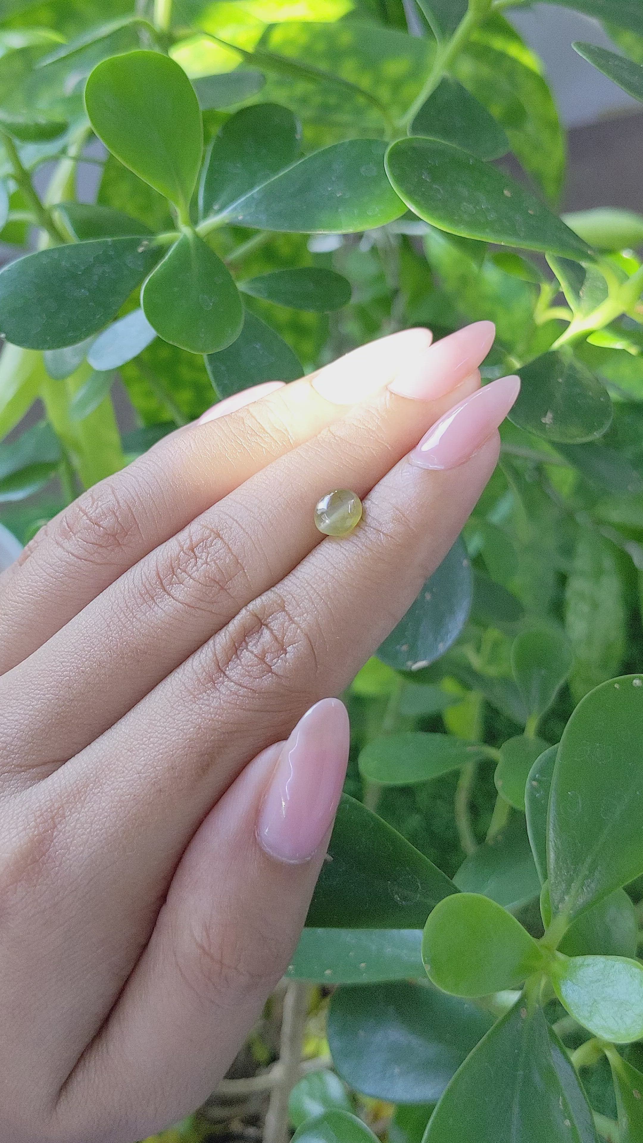 1.59 Ct. Cabochon Chrysoberyl from Tanzania Size Video