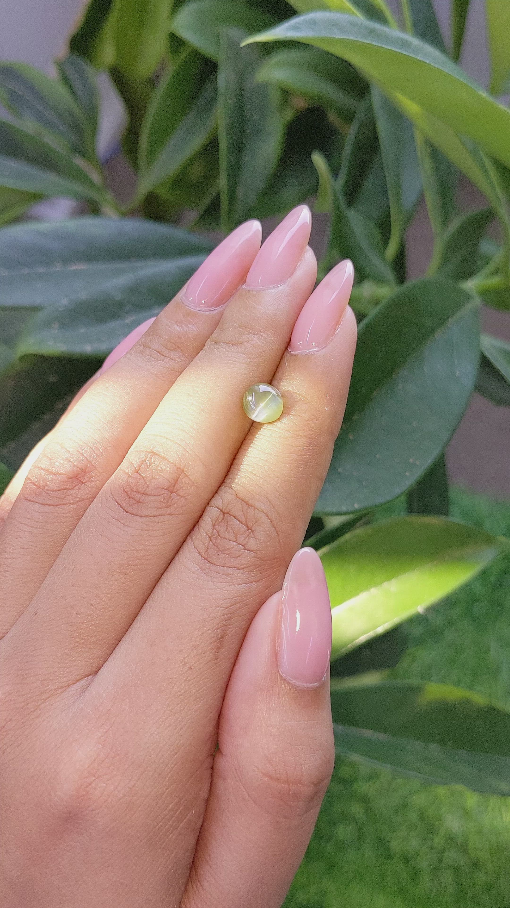 1.67 Ct. Cabochon Chrysoberyl from Tanzania Size Video