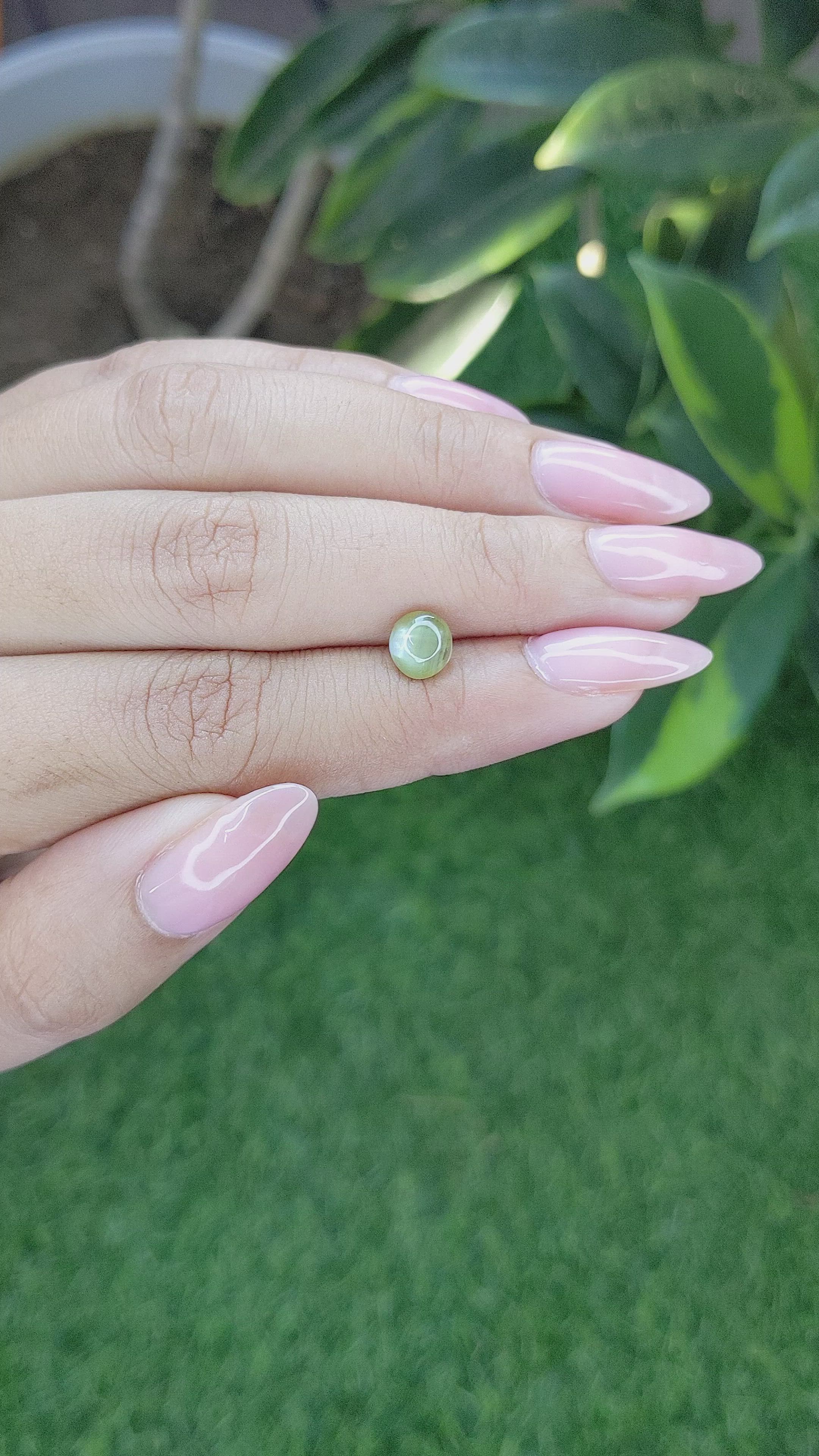 1.67 Ct. Cabochon Chrysoberyl from Tanzania Size Video