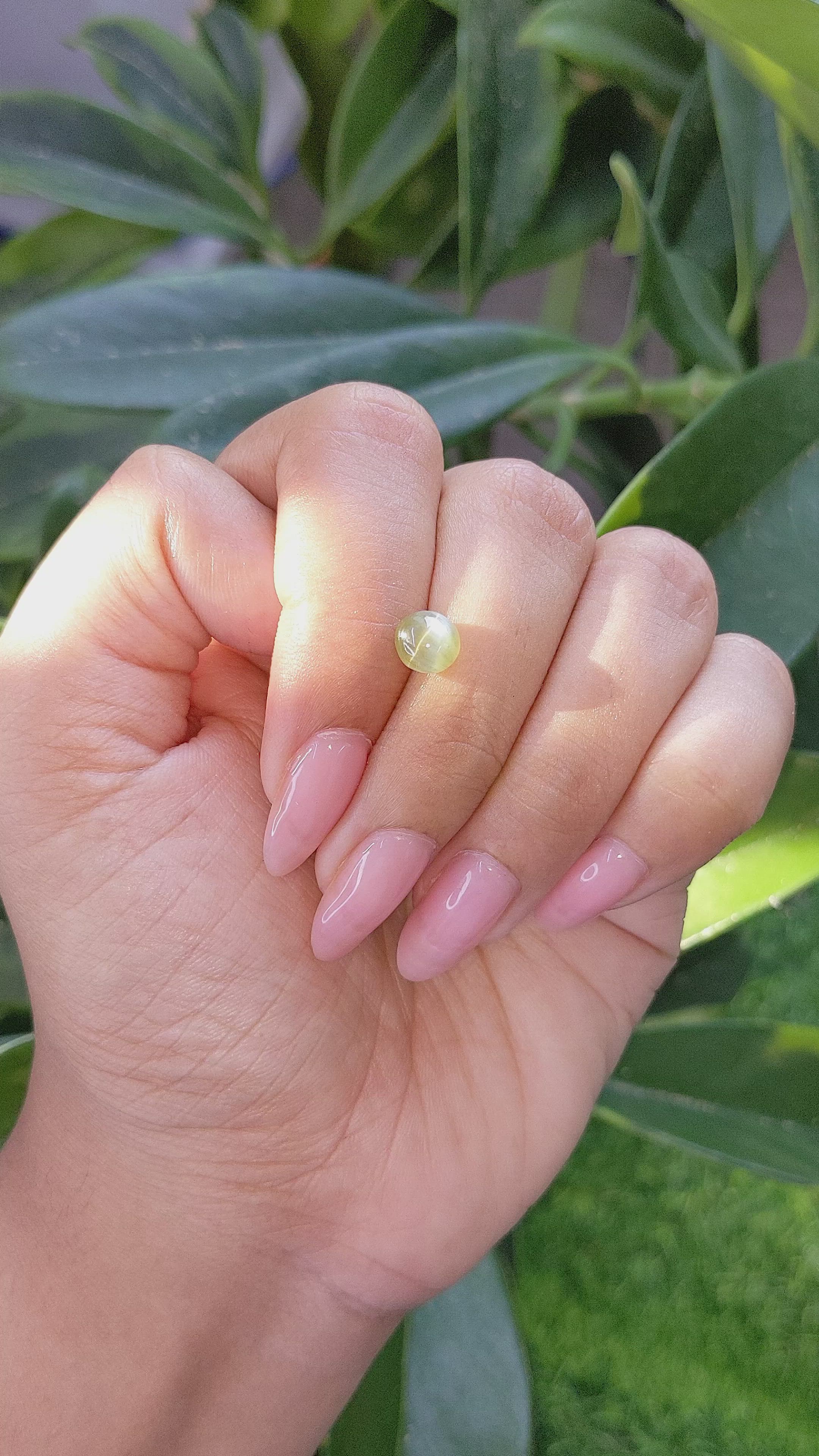 1.67 Ct. Cabochon Chrysoberyl from Tanzania Size Video