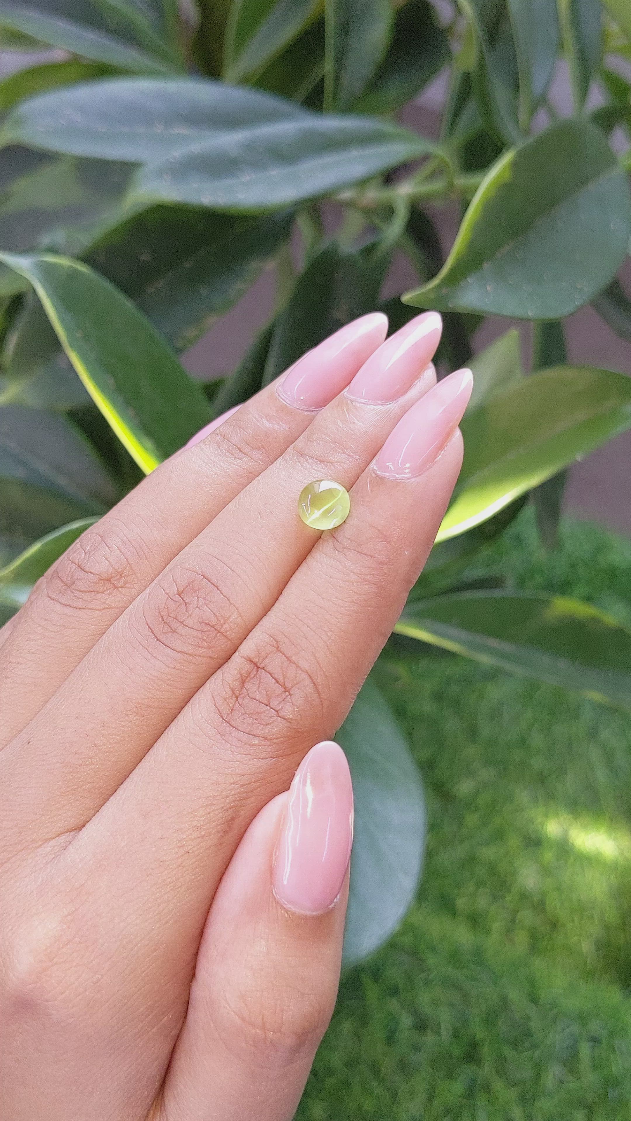 1.86 Ct. Cabochon Chrysoberyl from Tanzania Size Video