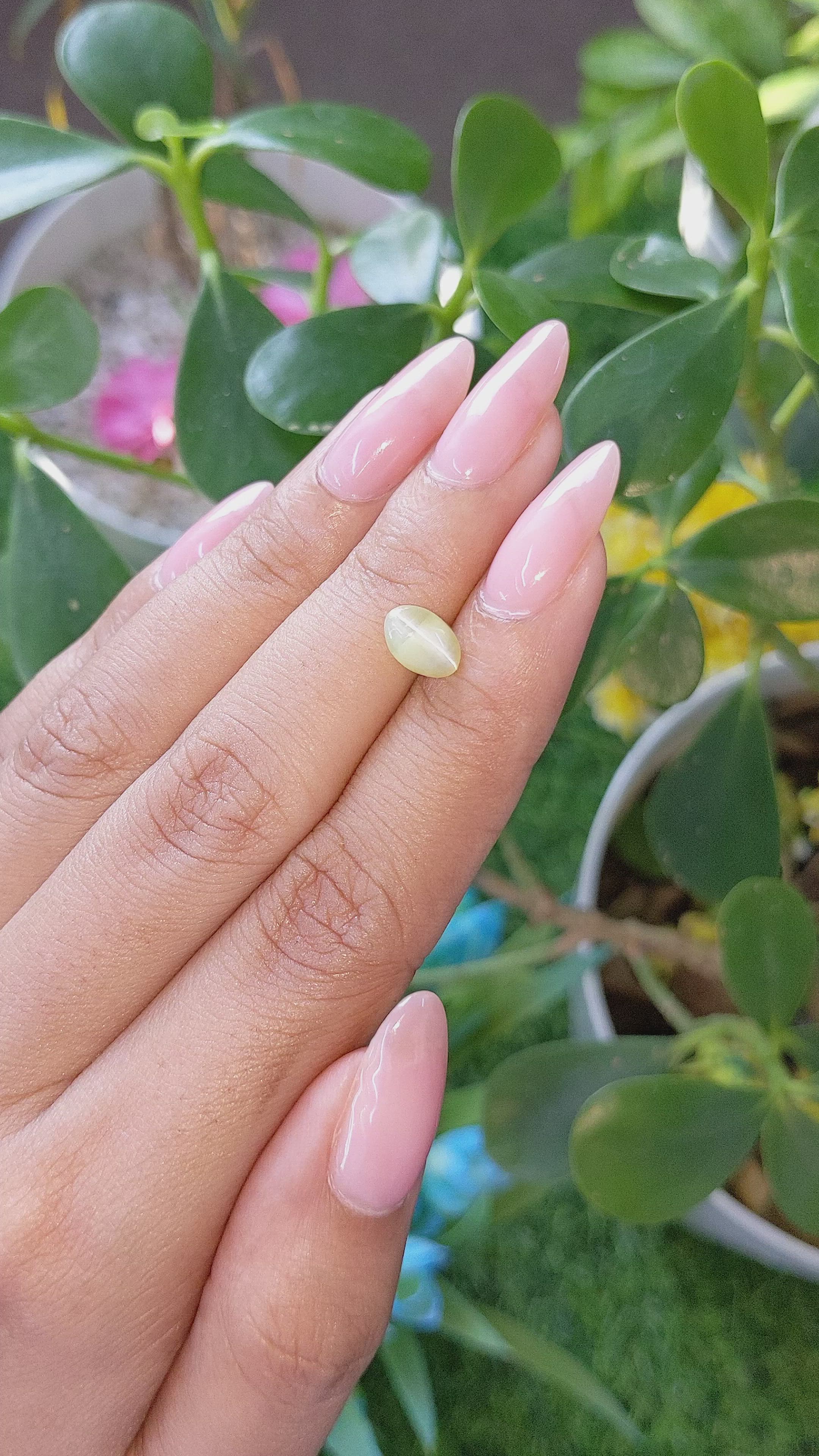 1.58 Ct. Cabochon Chrysoberyl from Tanzania Size Video