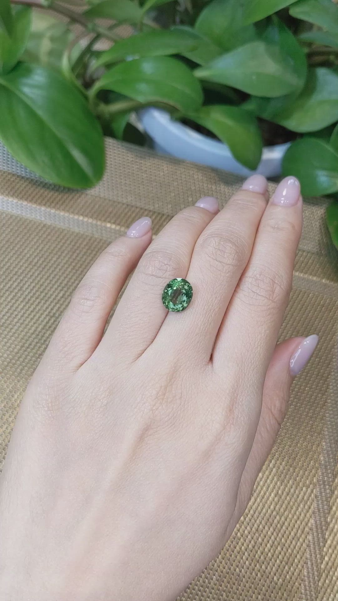 3.59 Ct. Apatite from Madagascar Size Video