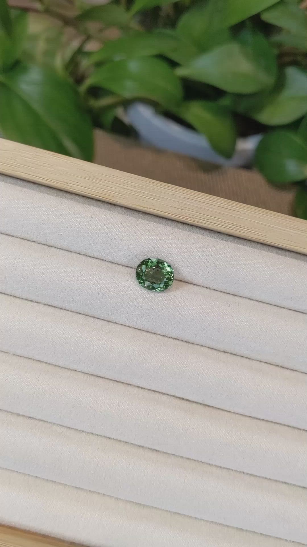 3.59 Ct. Apatite from Madagascar Size Video