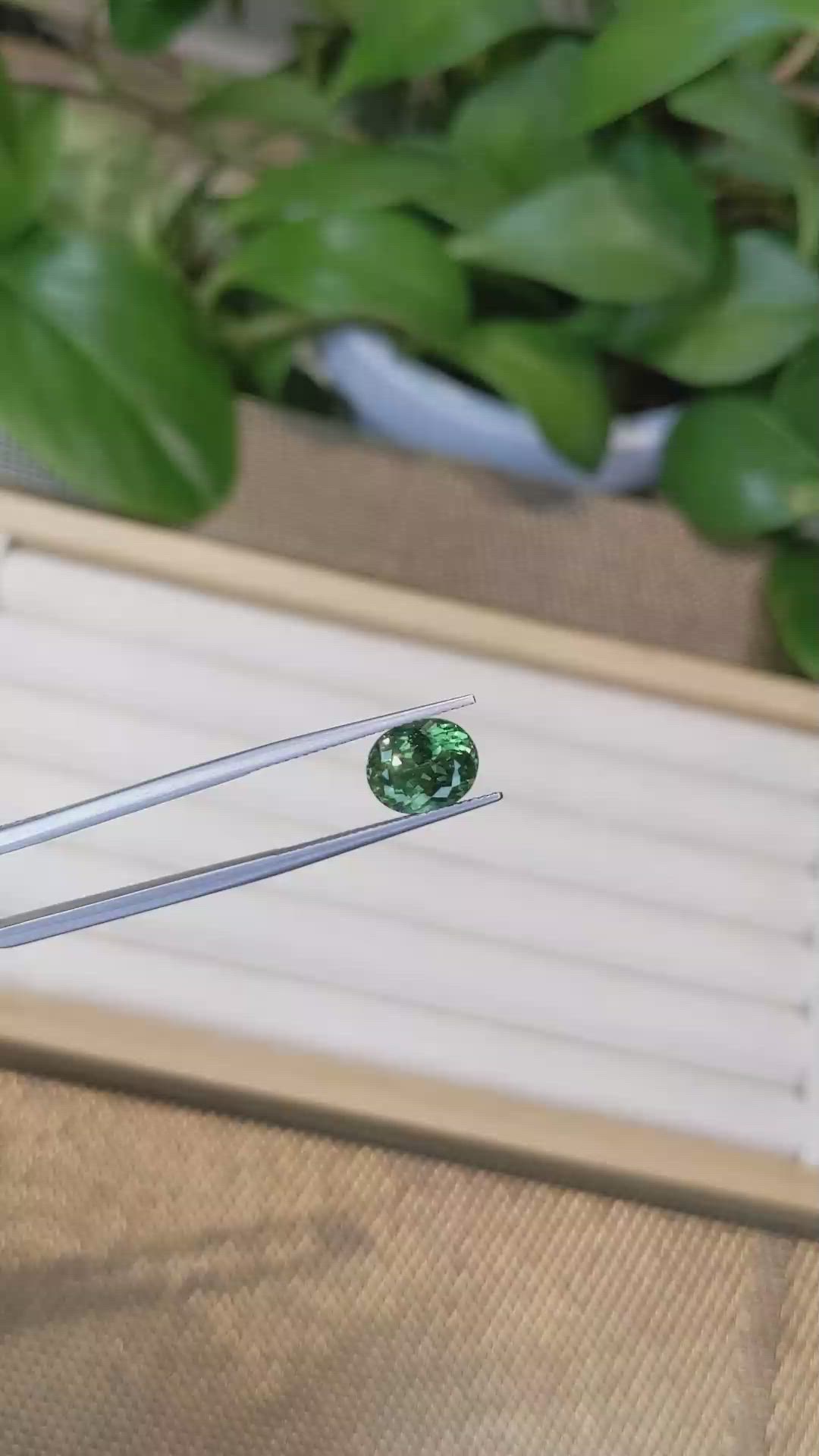 3.32 Ct. Apatite from Madagascar Size Video