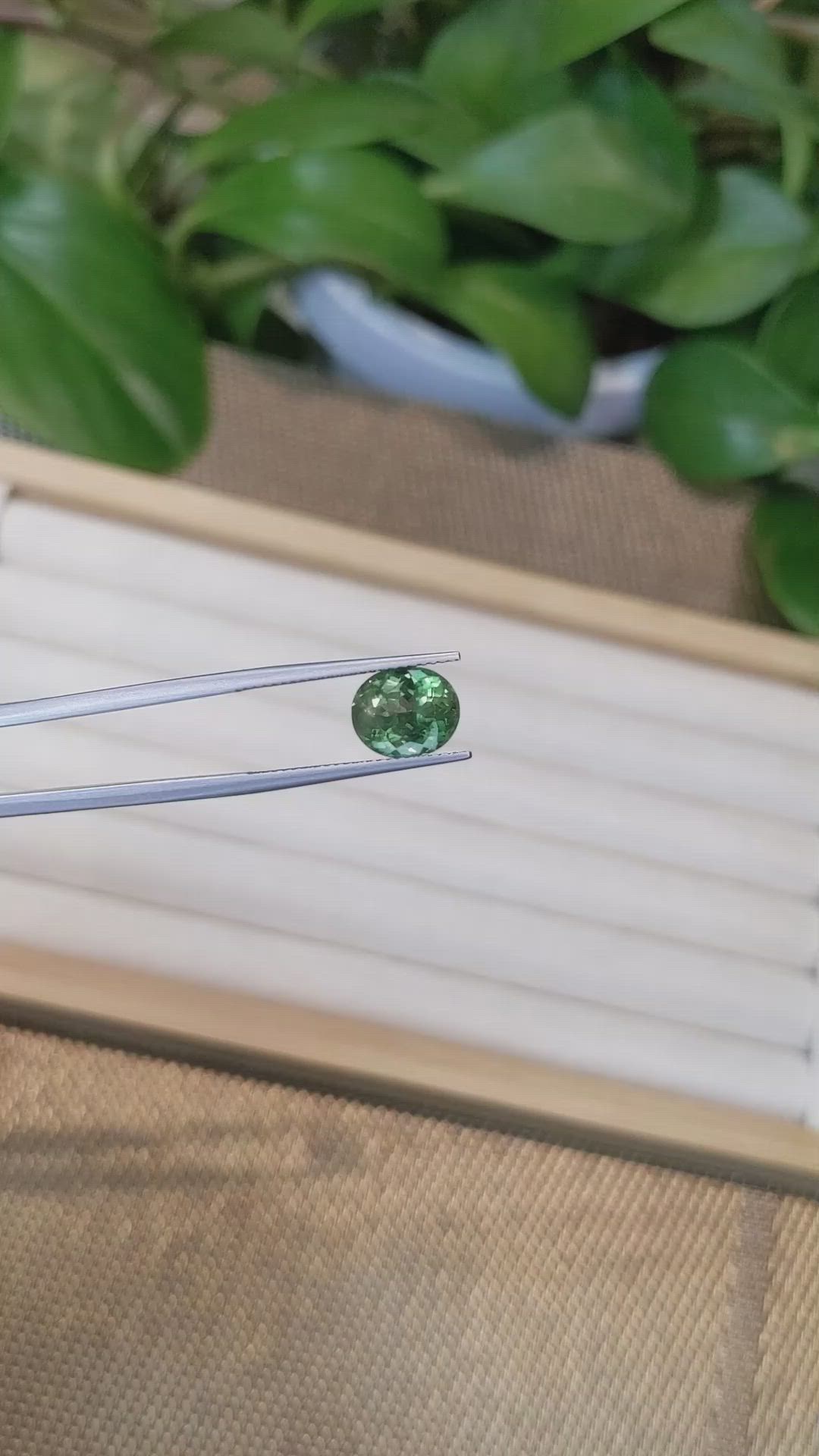 3.41 Ct. Apatite from Madagascar Size Video