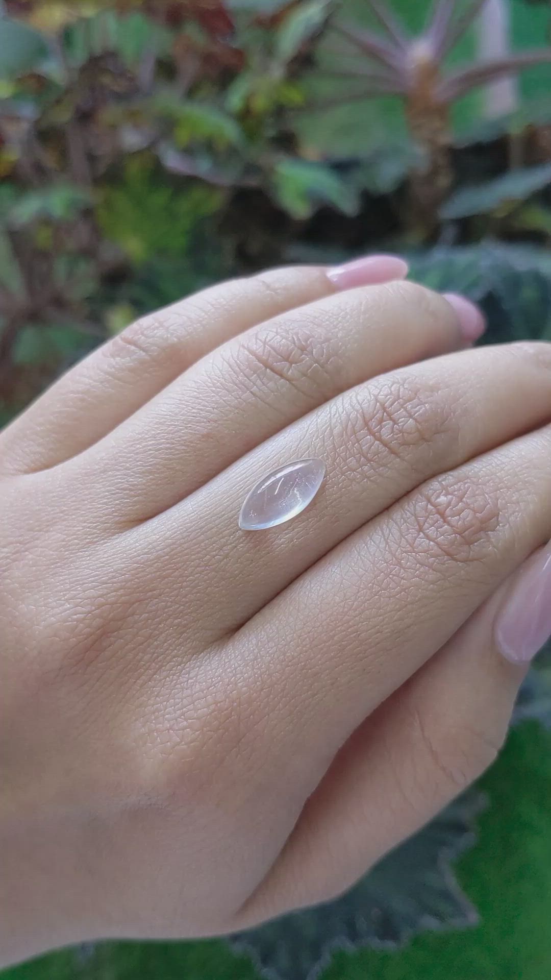 2.90 Ct. Cabochon Moonstone from Ceylon (Sri Lanka) Size Video