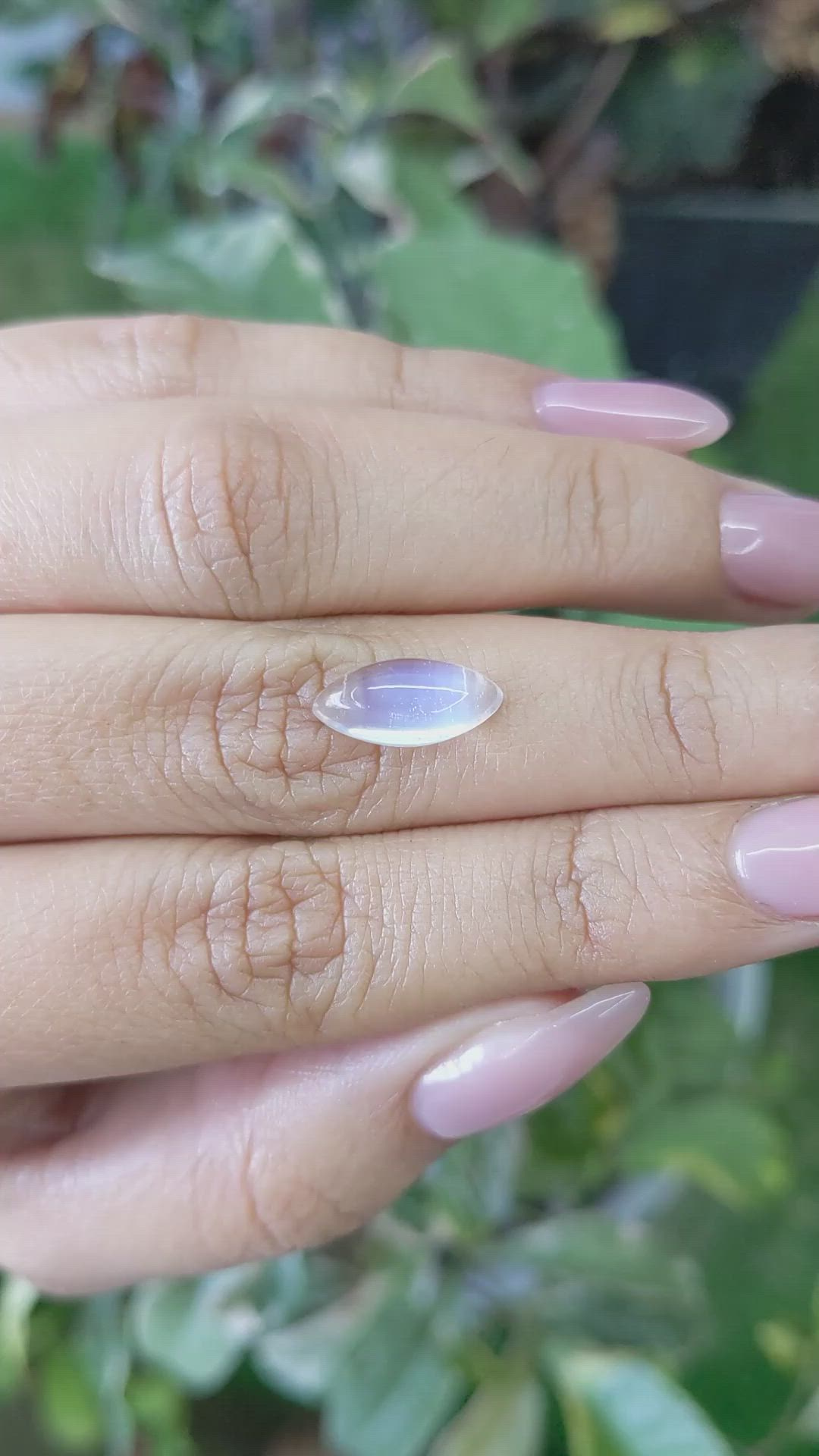 2.90 Ct. Cabochon Moonstone from Ceylon (Sri Lanka) Size Video