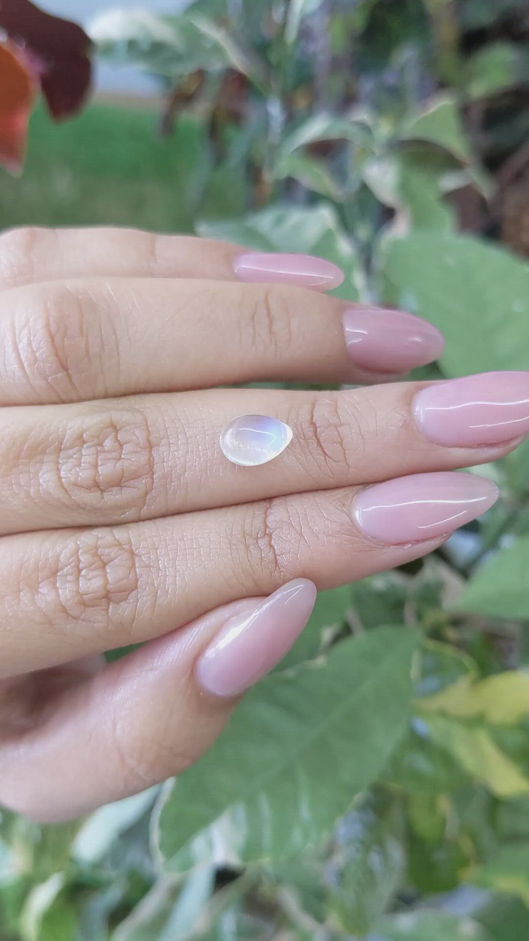 1.70 Ct. Cabochon Moonstone from Ceylon (Sri Lanka) Size Video