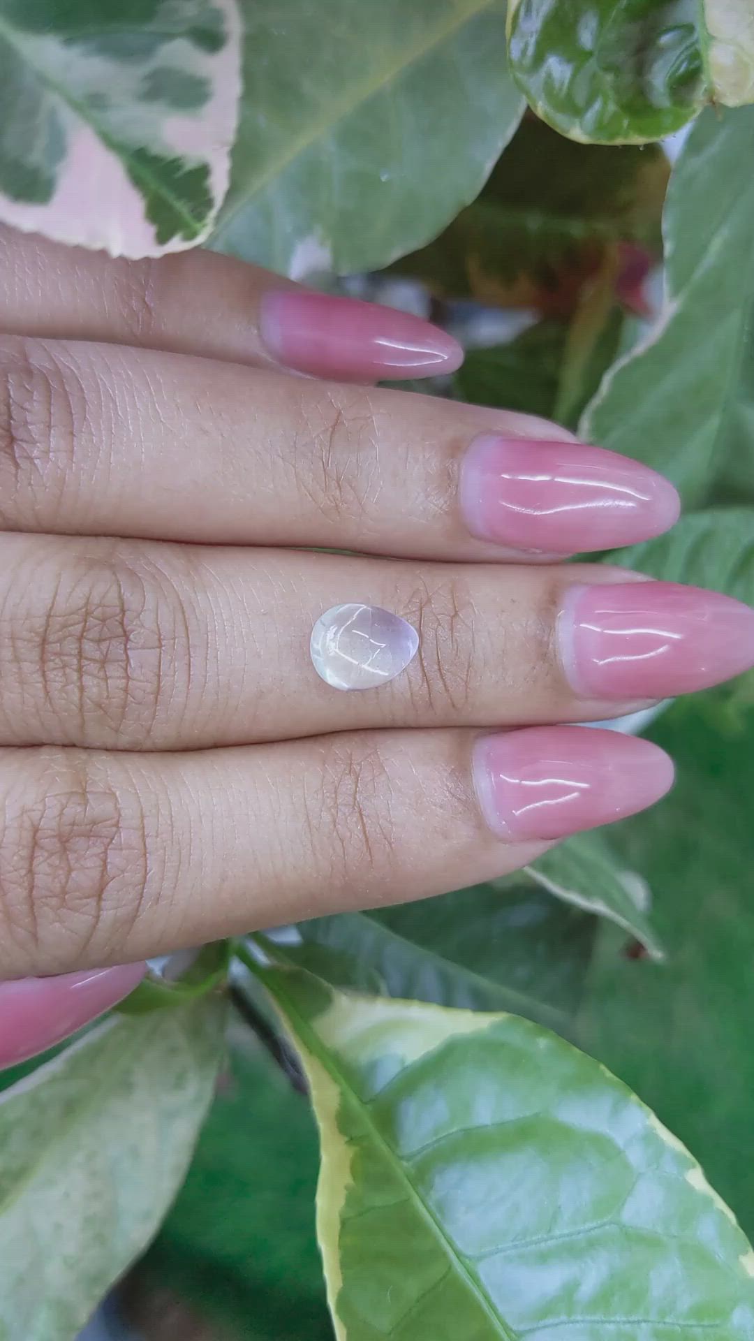 1.94 Ct. Cabochon Moonstone from Ceylon (Sri Lanka) Size Video