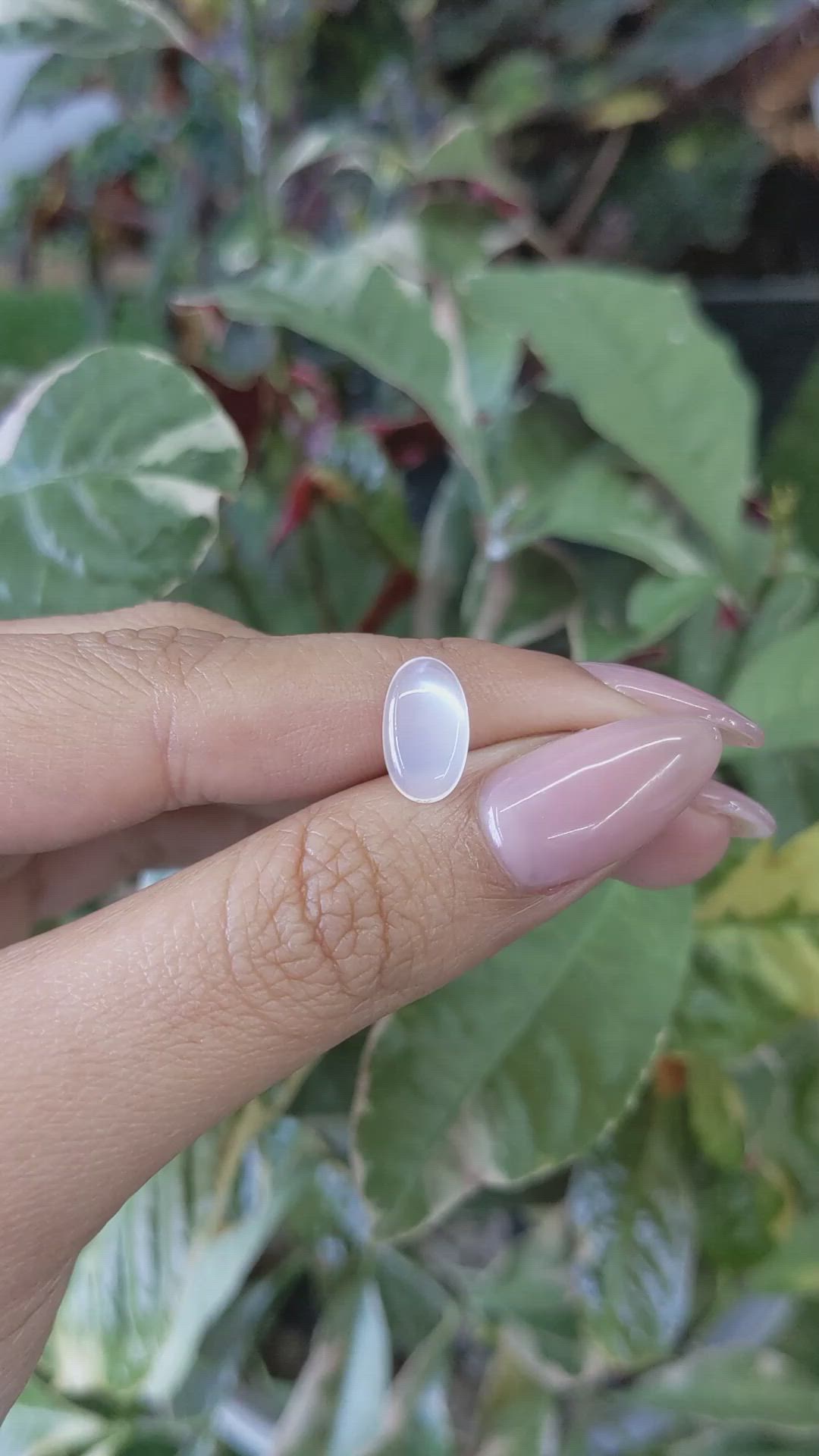 1.82 Ct. Cabochon Moonstone from Ceylon (Sri Lanka) Size Video