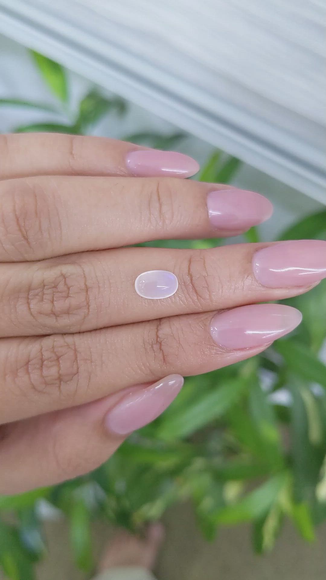 1.51 Ct. Cabochon Moonstone from Ceylon (Sri Lanka) Size Video