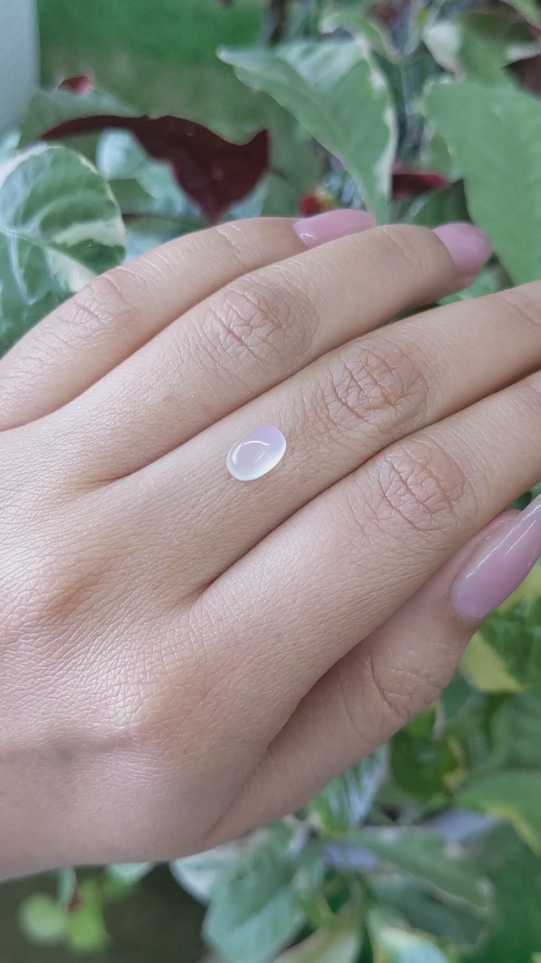 1.51 Ct. Cabochon Moonstone from Ceylon (Sri Lanka) Size Video