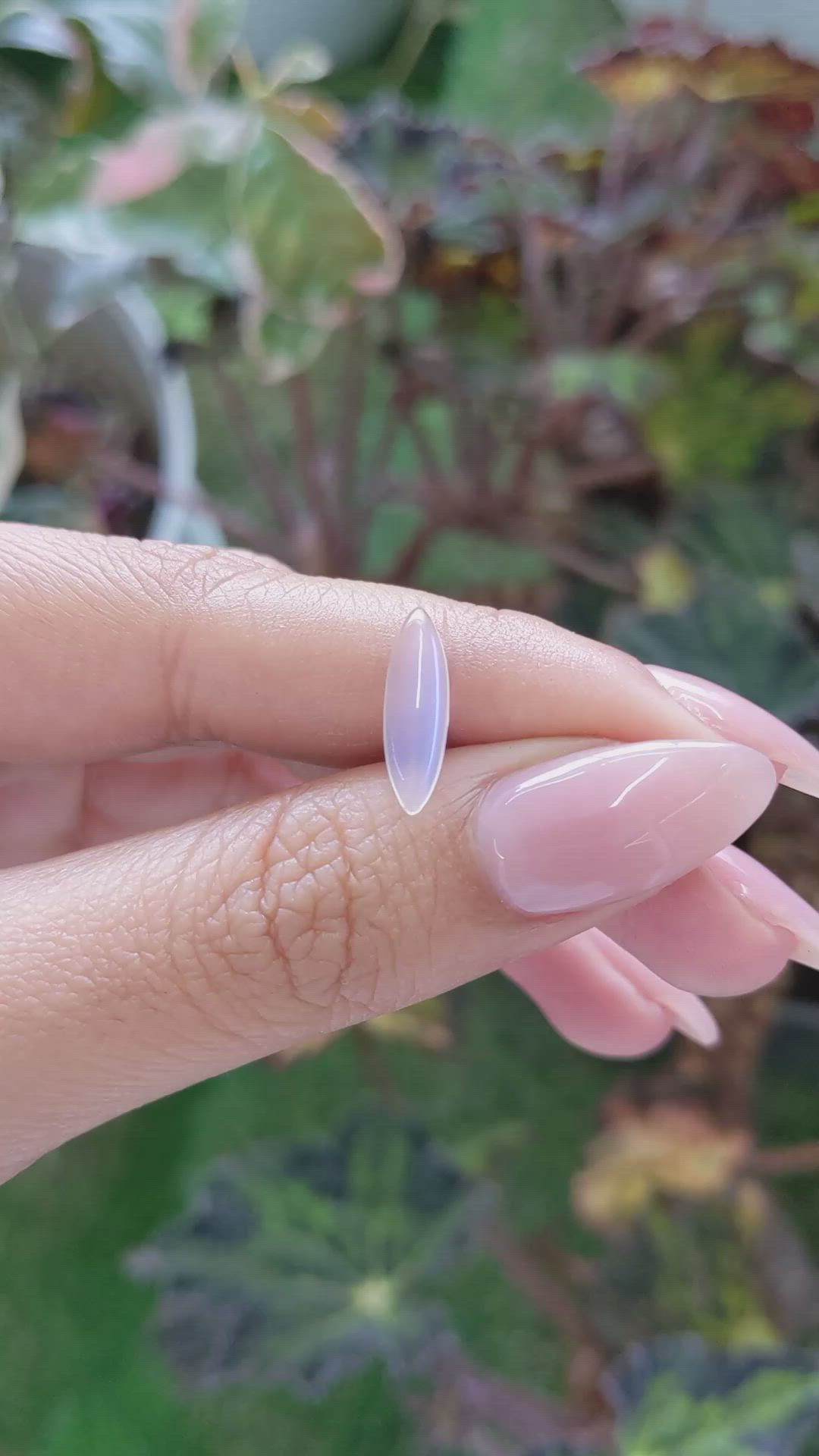 1.50 Ct. Cabochon Moonstone from Ceylon (Sri Lanka) Size Video