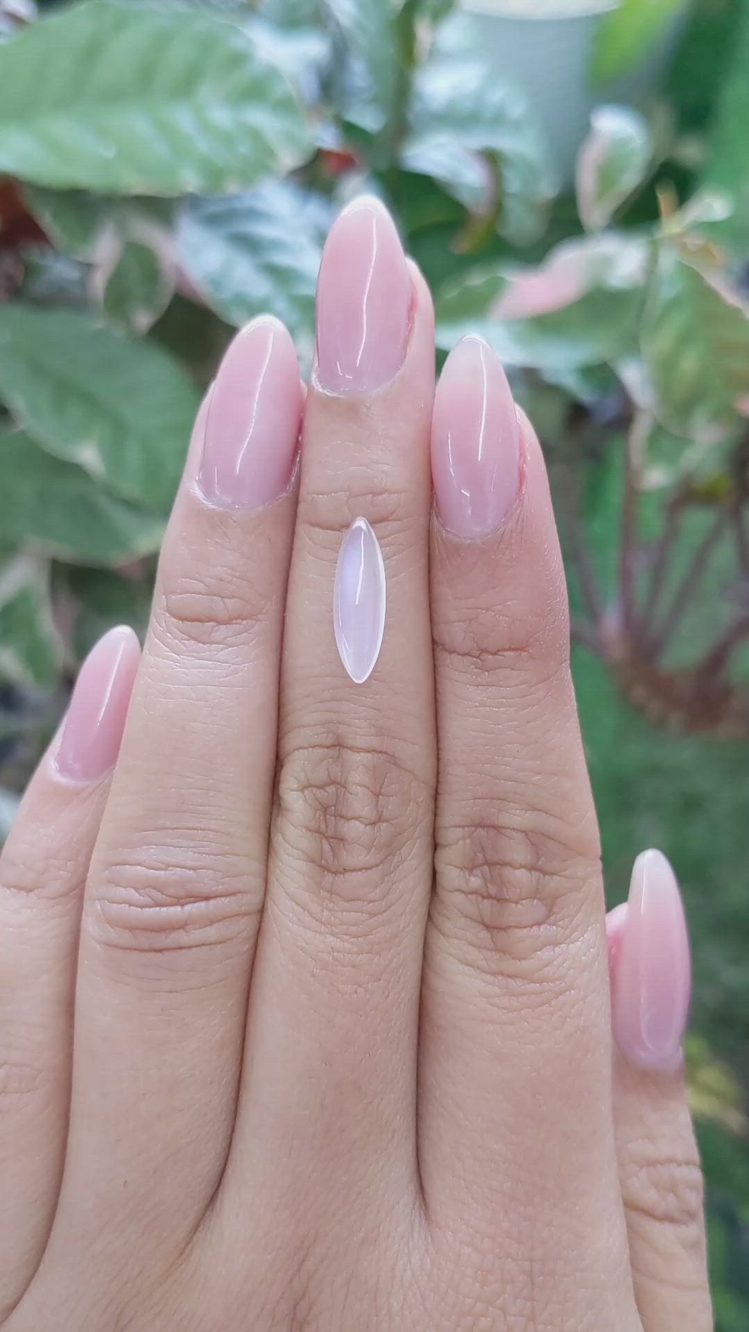 1.50 Ct. Cabochon Moonstone from Ceylon (Sri Lanka) Size Video