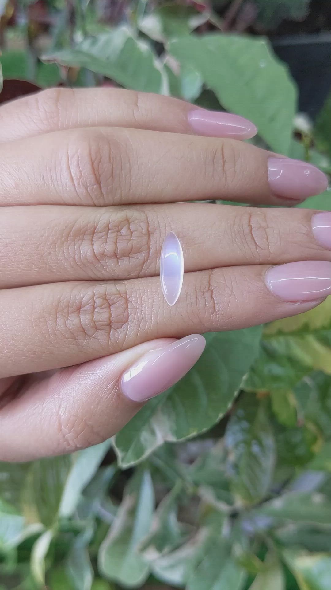 1.50 Ct. Cabochon Moonstone from Ceylon (Sri Lanka) Size Video