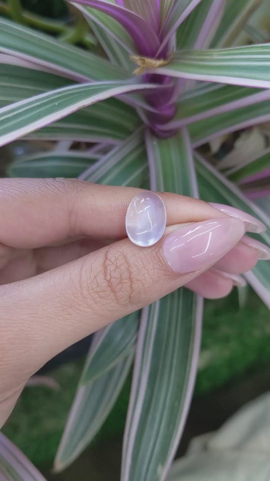 6.28 Ct. Blue Flash Cabochon Moonstone from Ceylon (Sri Lanka) Size Video