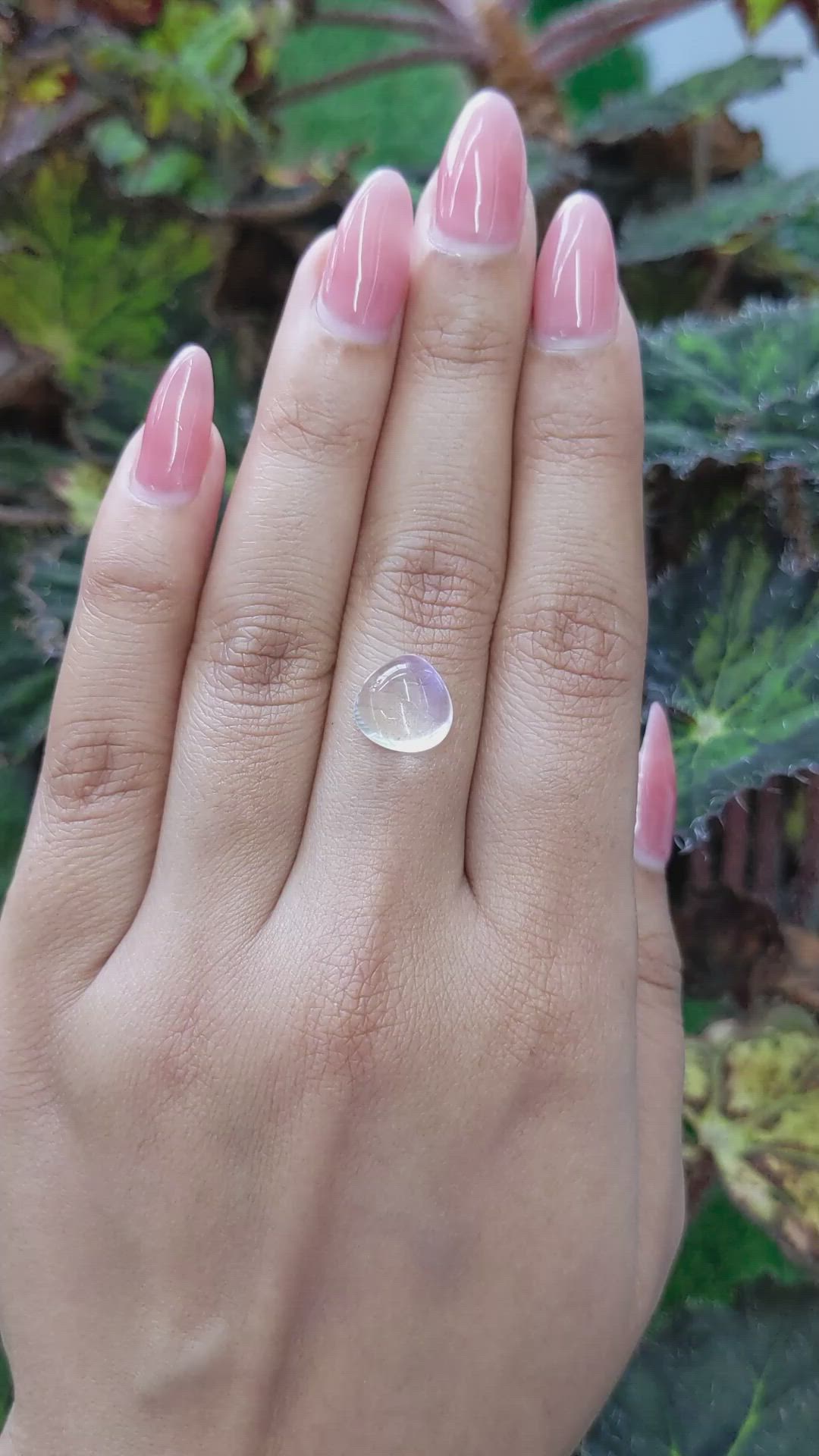 3.75 Ct. Cabochon Moonstone from Ceylon (Sri Lanka) Size Video