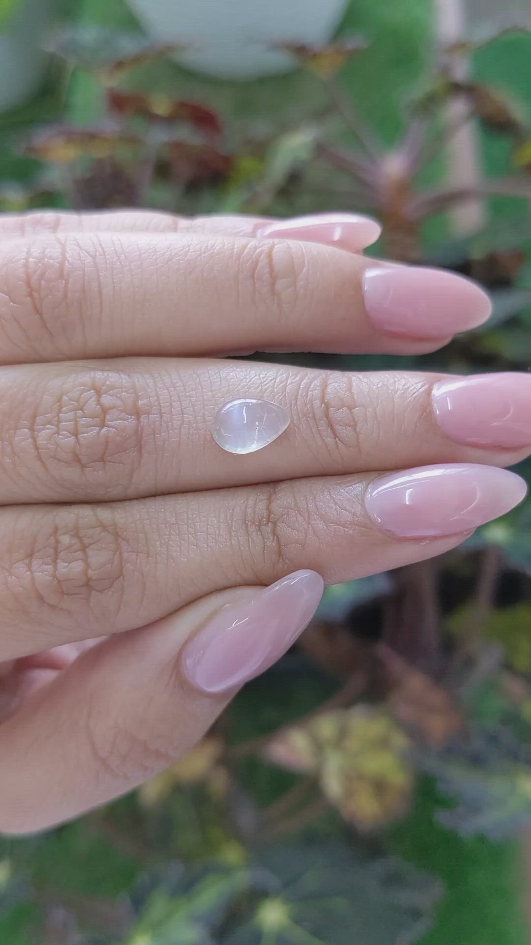 1.49 Ct. Cabochon Moonstone from Ceylon (Sri Lanka) Size Video