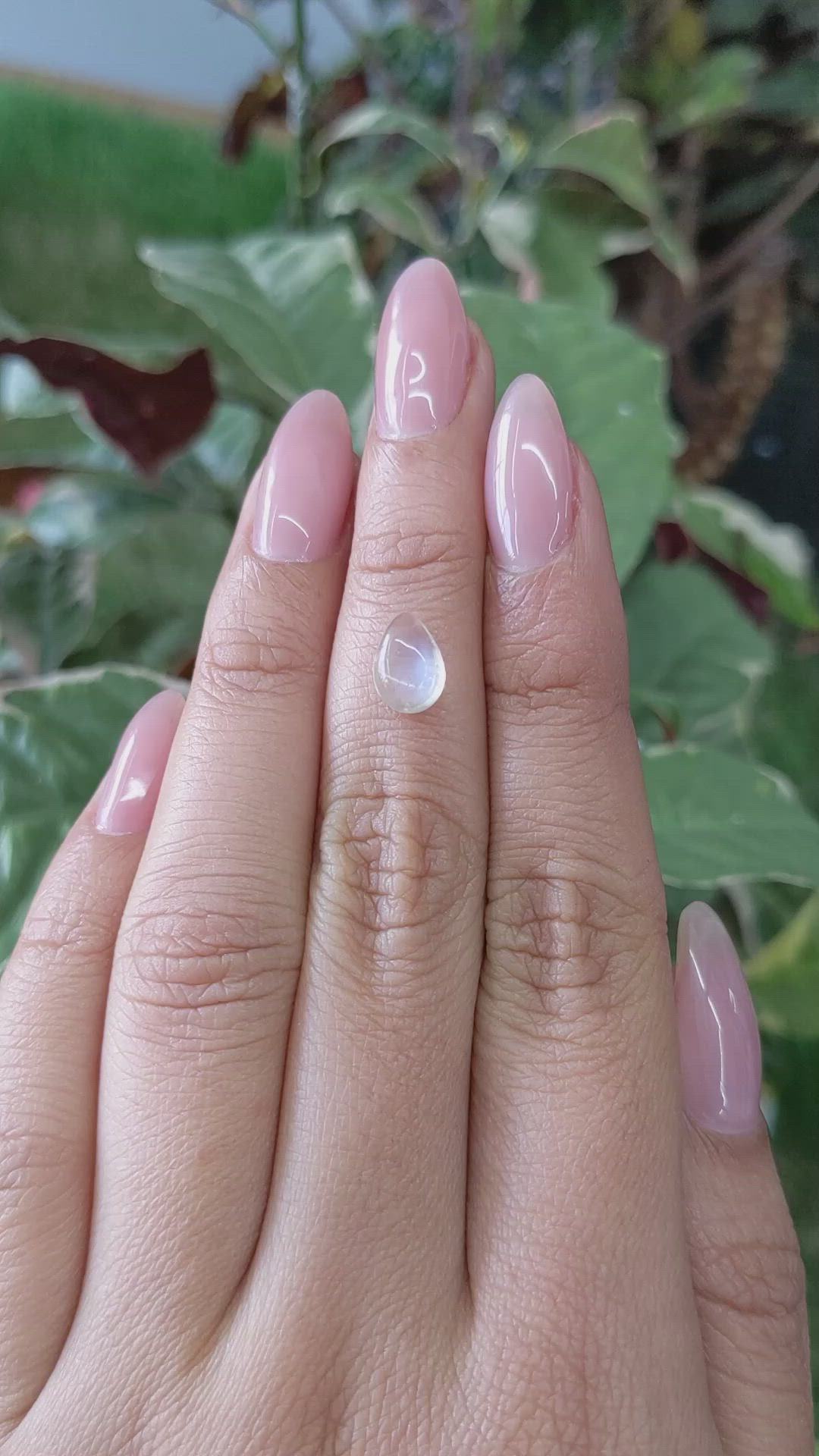 1.49 Ct. Cabochon Moonstone from Ceylon (Sri Lanka) Size Video