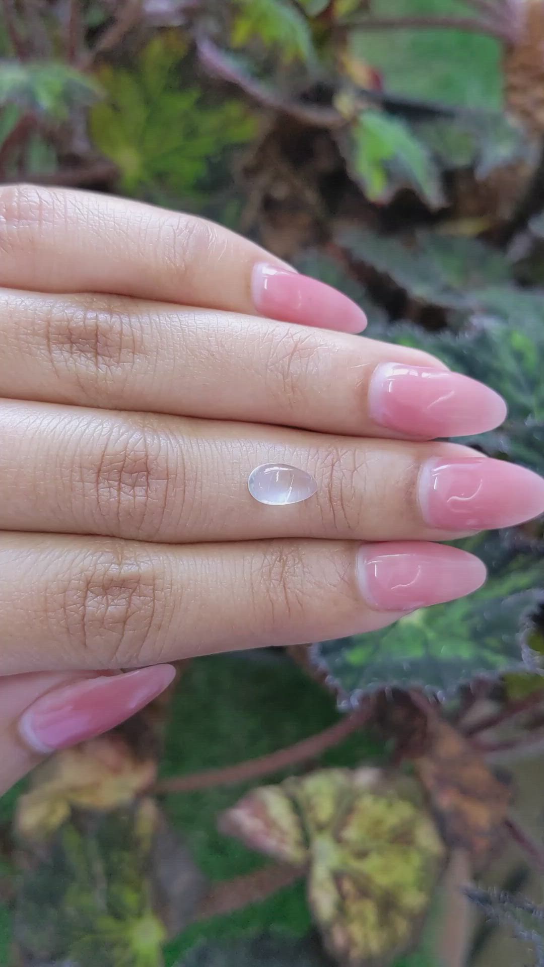 1.45 Ct. Blue Flash Cabochon Moonstone from Ceylon (Sri Lanka) Size Video