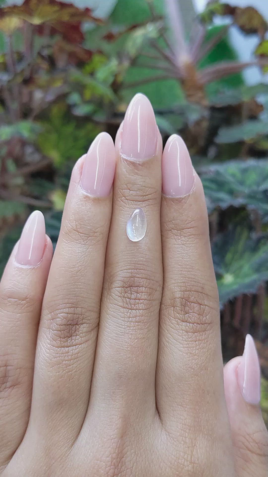 1.59 Ct. Cabochon Moonstone from Ceylon (Sri Lanka) Size Video