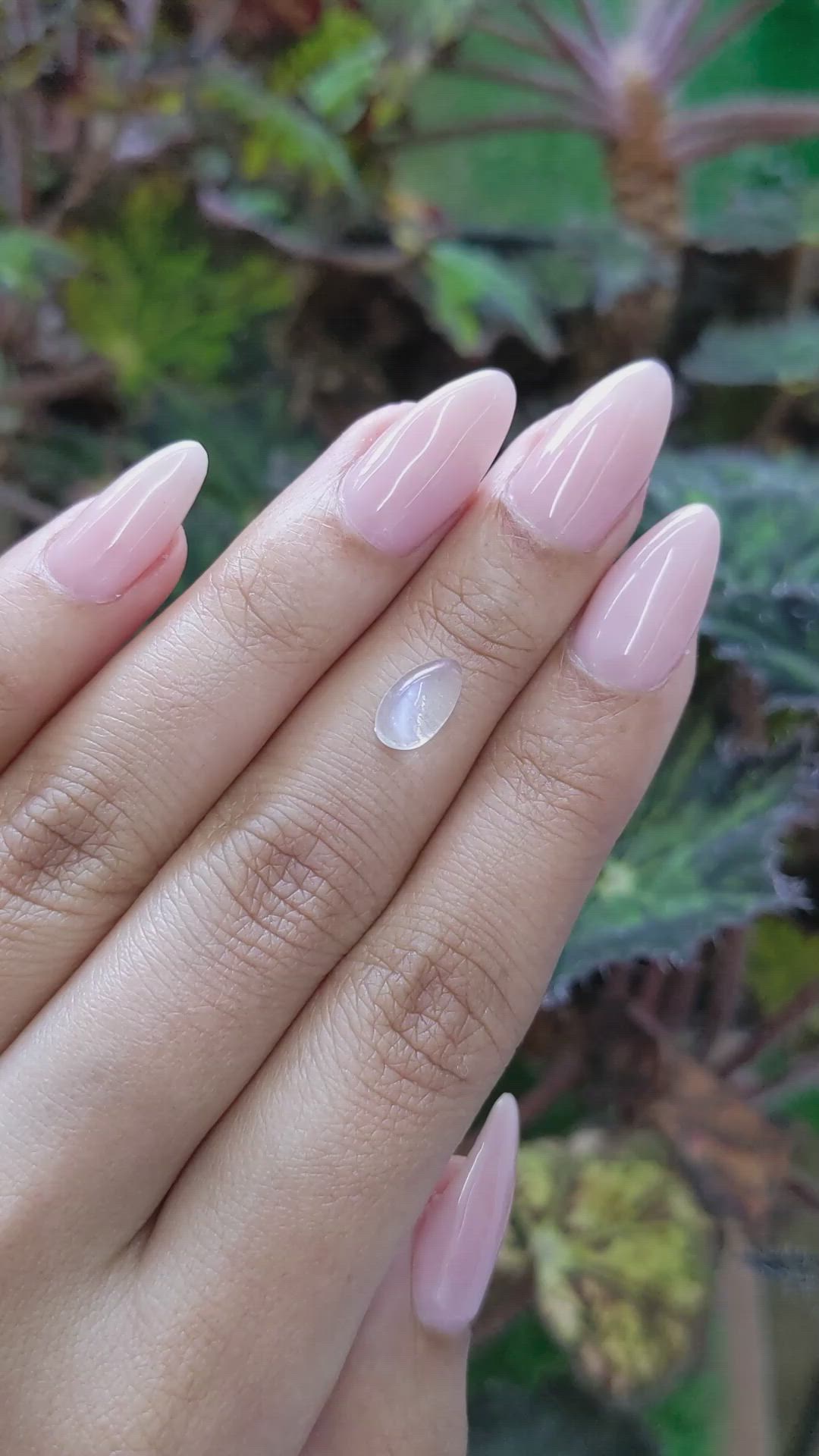 1.59 Ct. Cabochon Moonstone from Ceylon (Sri Lanka) Size Video