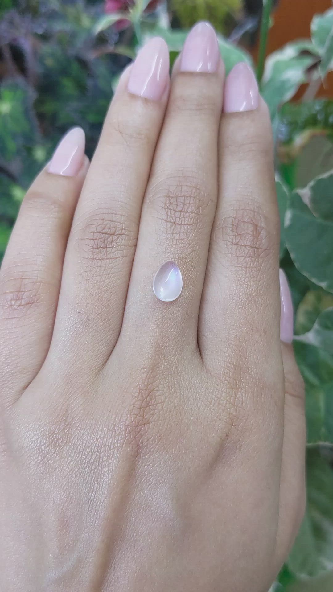 1.46 Ct. Cabochon Moonstone from Ceylon (Sri Lanka) Size Video