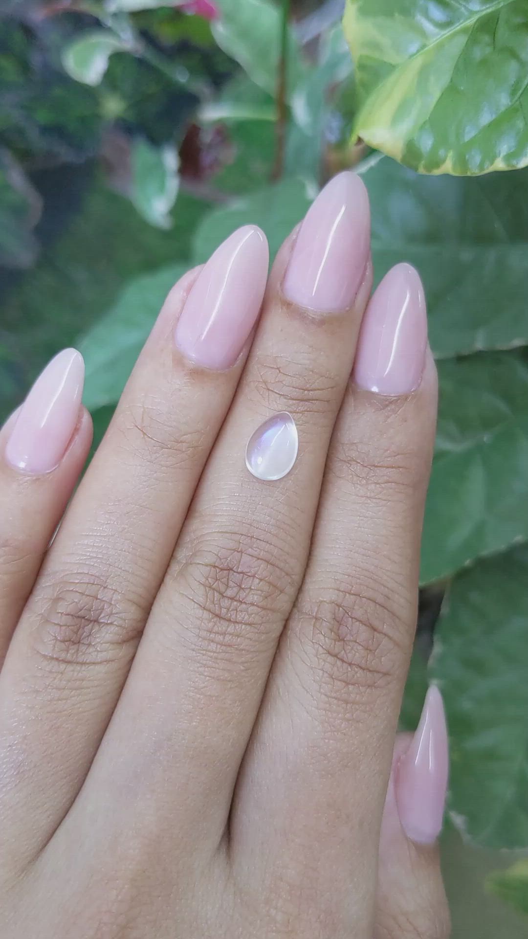 1.46 Ct. Cabochon Moonstone from Ceylon (Sri Lanka) Size Video