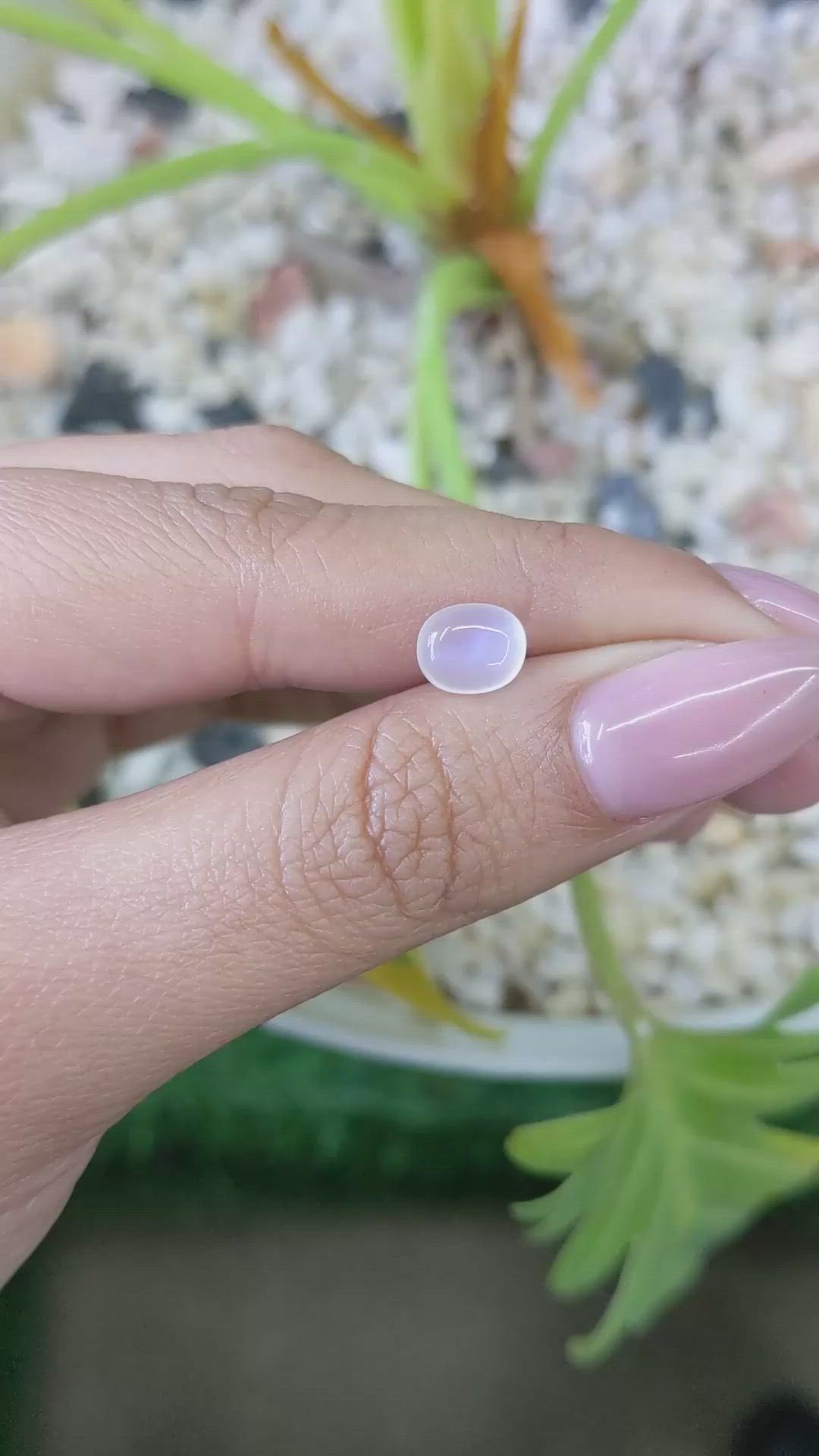 1.41 Ct. Blue Flash Cabochon Moonstone from Ceylon (Sri Lanka) Size Video