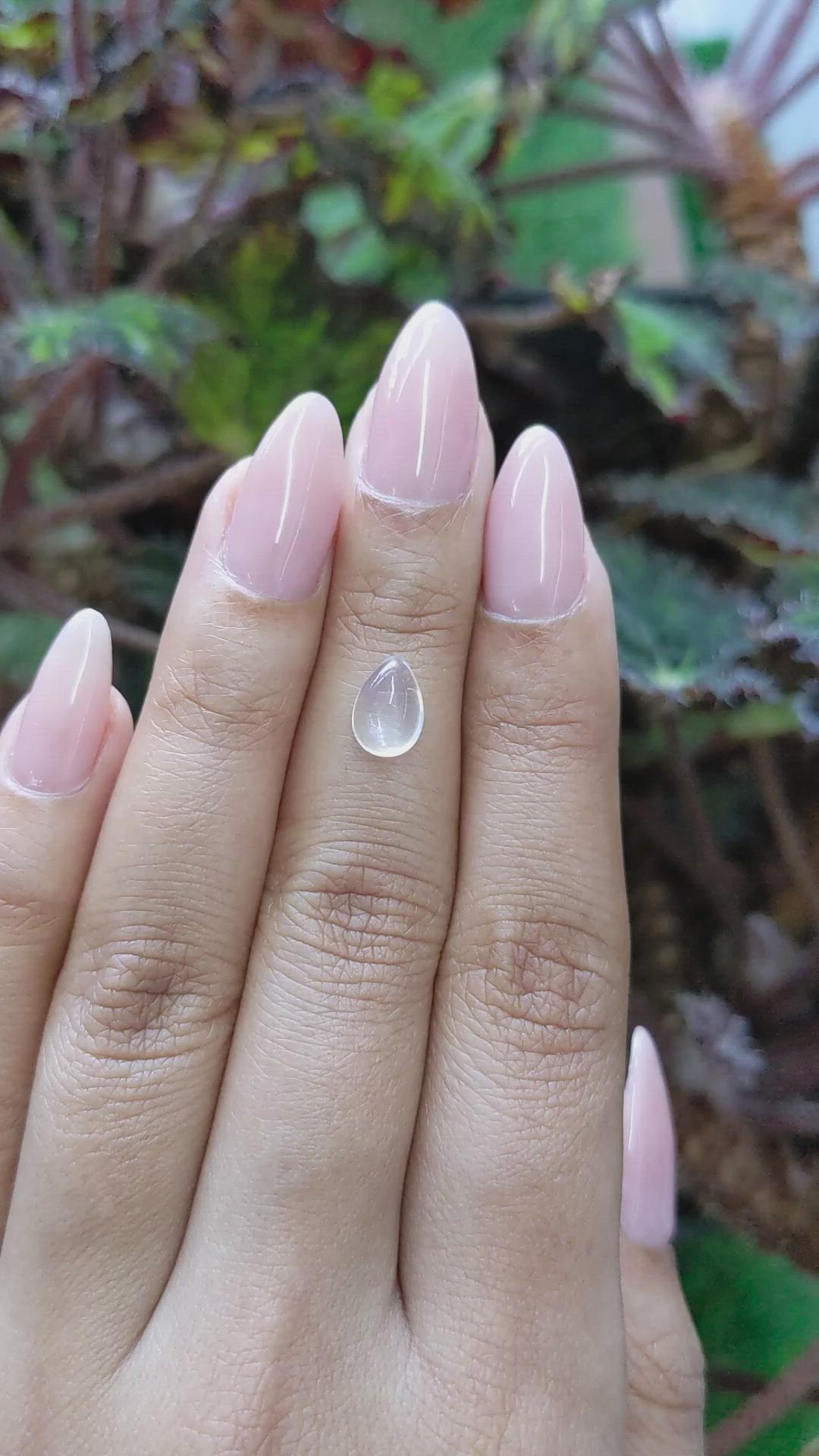 1.63 Ct. Cabochon Moonstone from Ceylon (Sri Lanka) Size Video