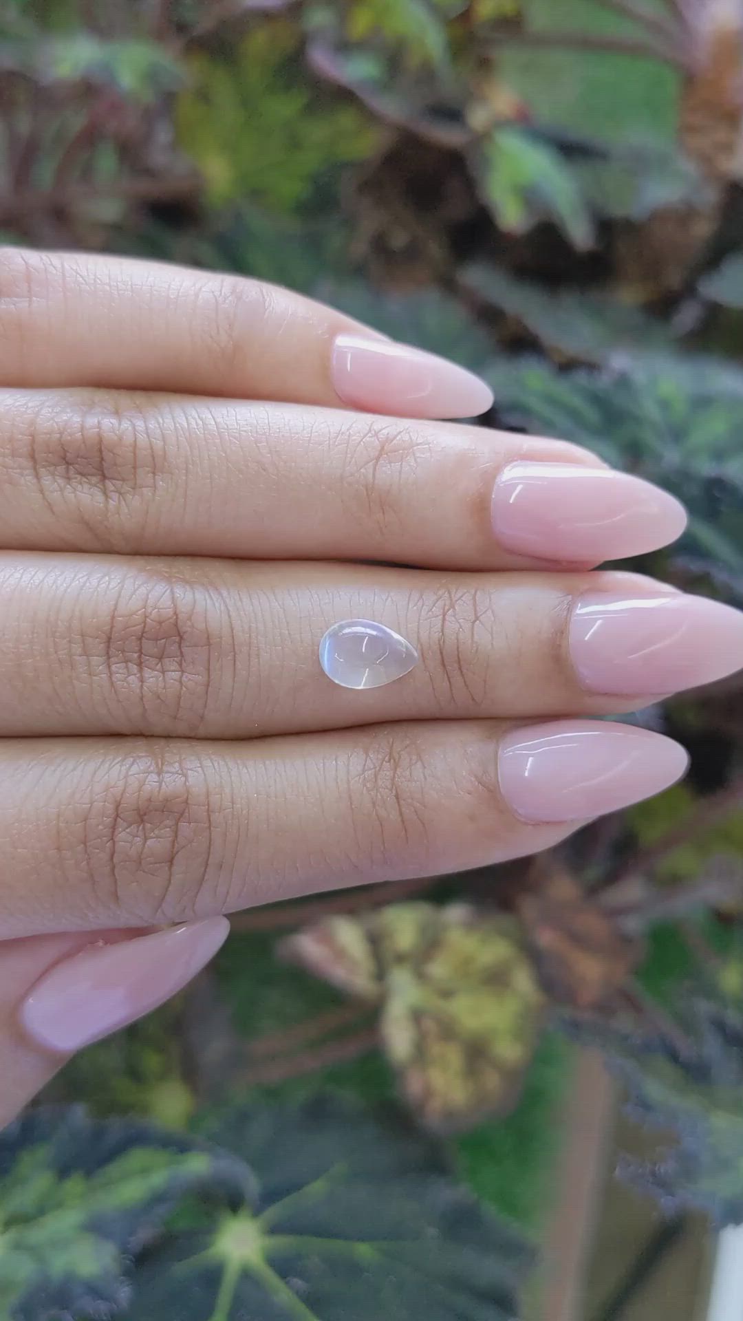 1.63 Ct. Cabochon Moonstone from Ceylon (Sri Lanka) Size Video