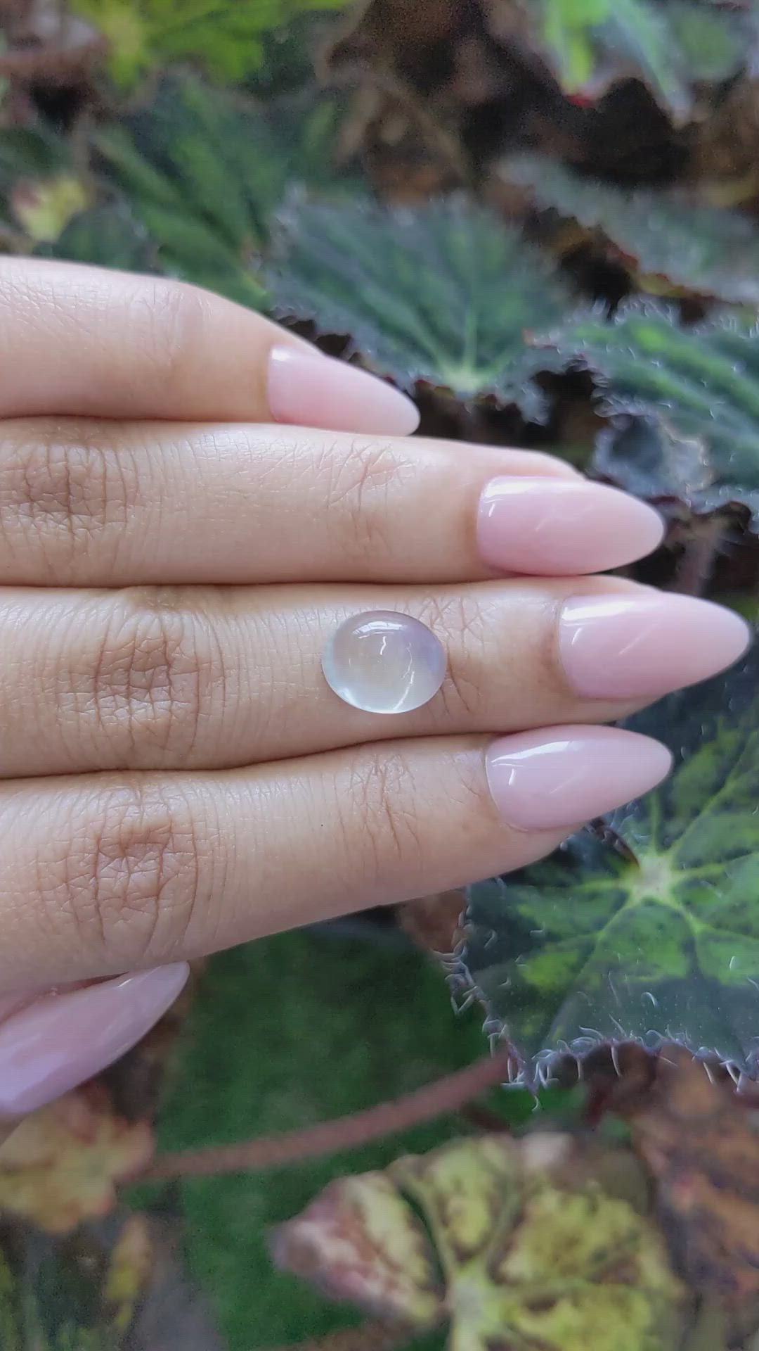 4.43 Ct. Cabochon Moonstone from Ceylon (Sri Lanka) Size Video