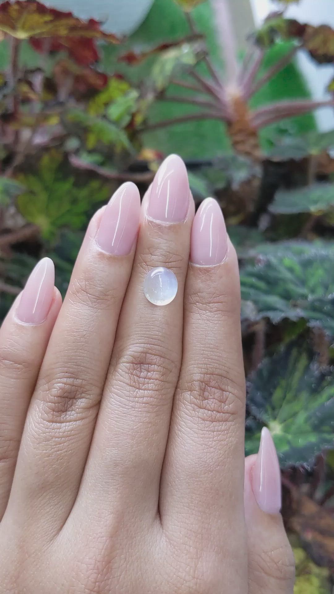2.90 Ct. Cabochon Moonstone from Ceylon (Sri Lanka) Size Video