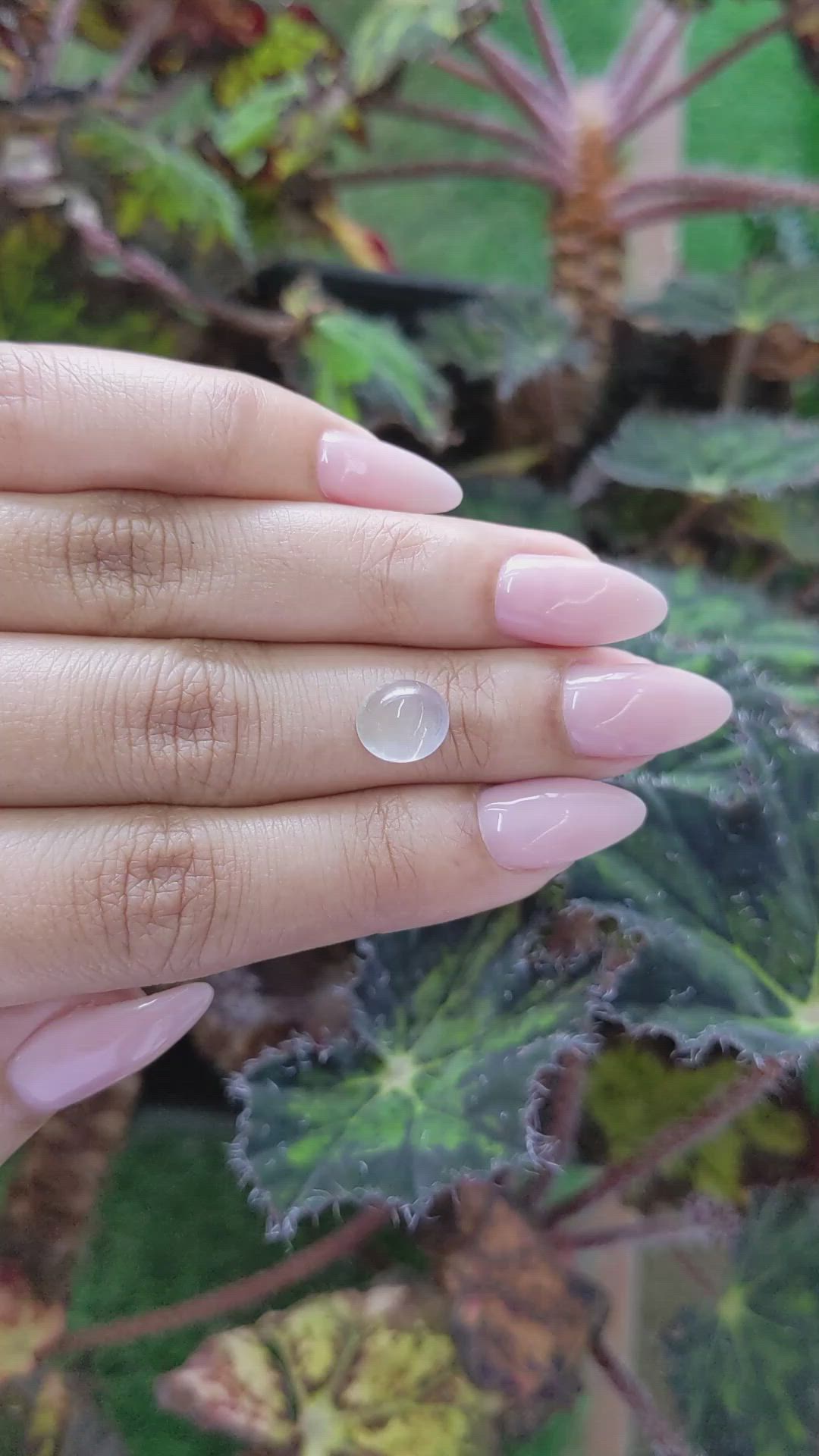 2.90 Ct. Cabochon Moonstone from Ceylon (Sri Lanka) Size Video